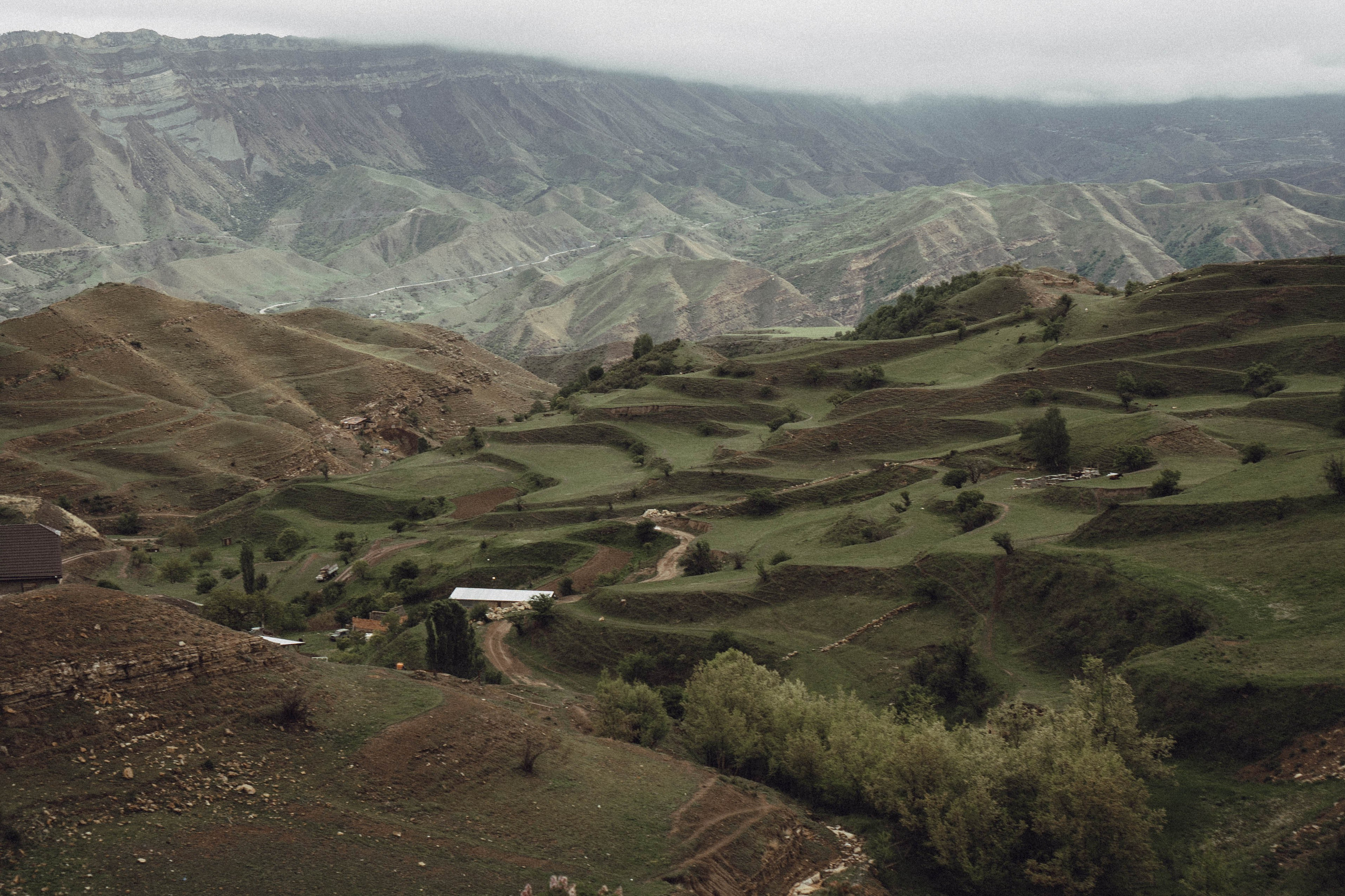 Кавказ. Профессиональный фотограф, Санкт-Петербург — Виктория Богомолова