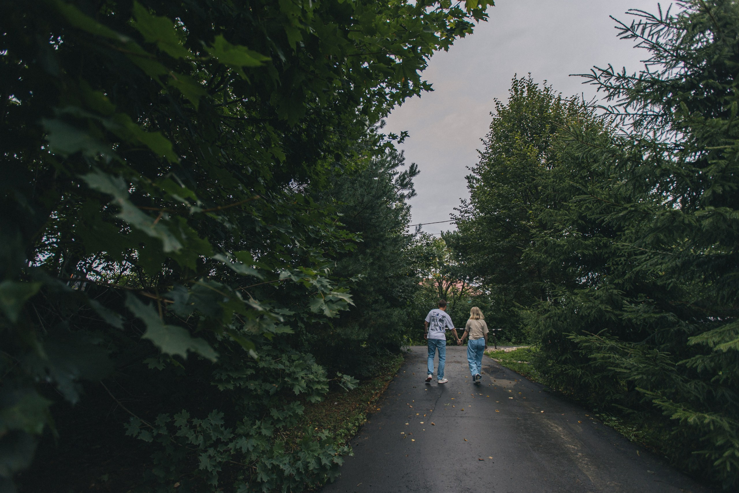 Любовь и Голуби. Обо мне