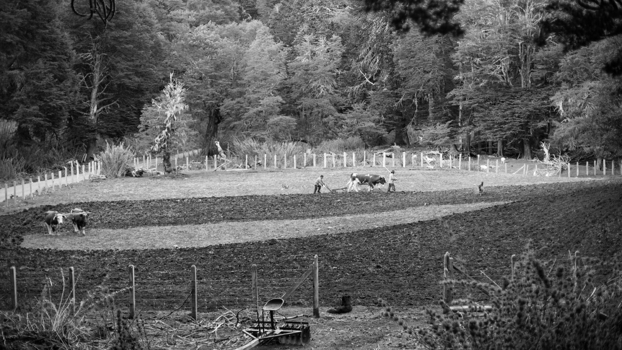 LANDSCAPE. Portrait and business photographer in Moscow Andrey Nikolsky