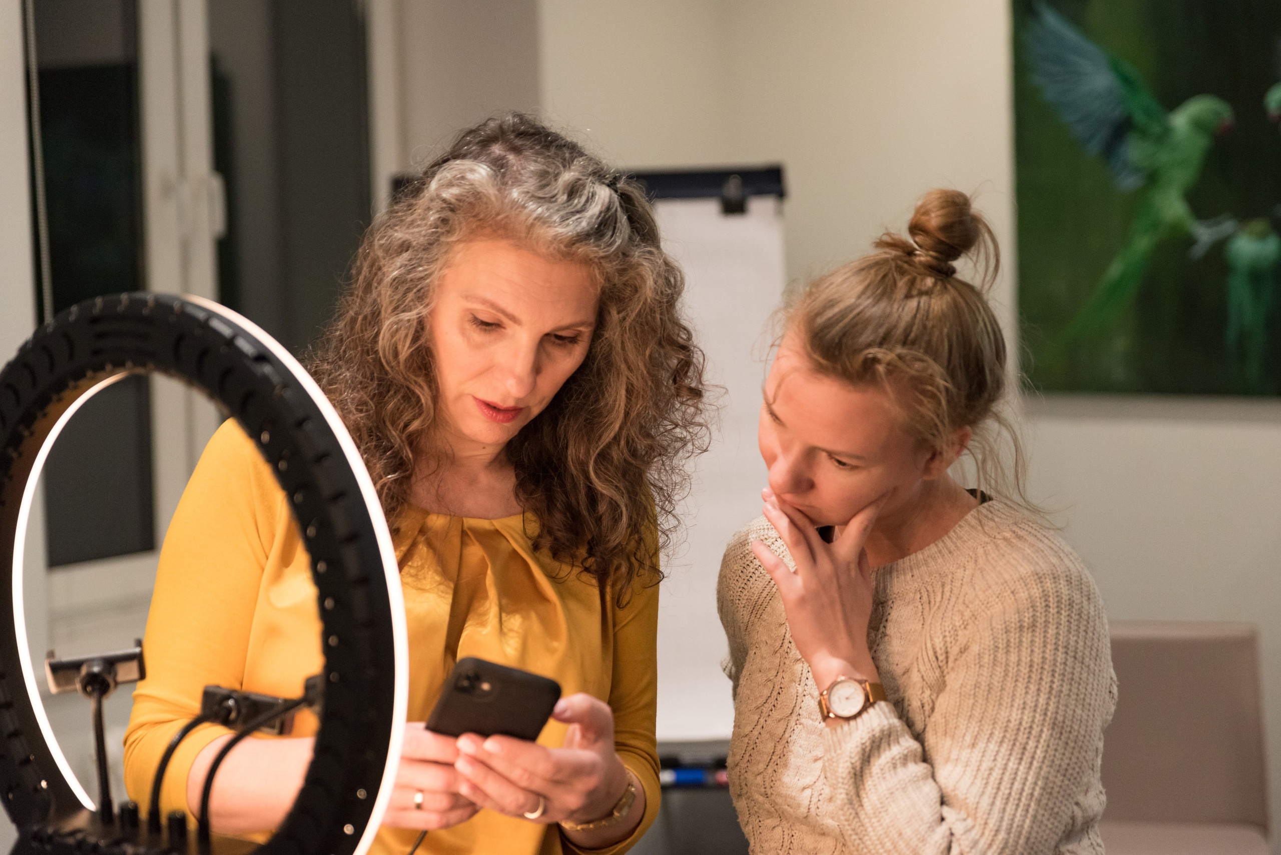 Две женщины смотрят на экран телефона, на заднем плане висит картина.