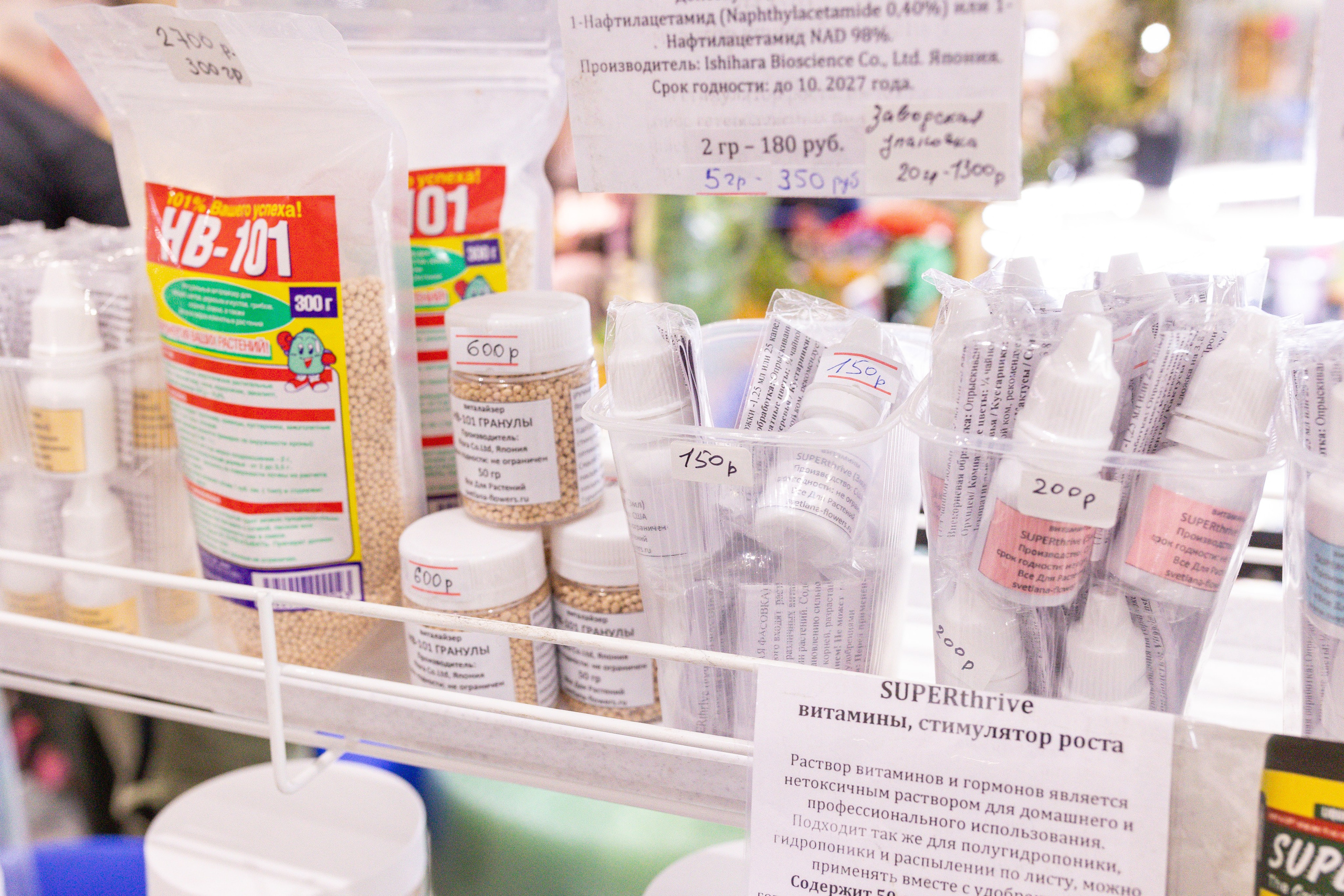 Орхидиум май 2025. Александра Куликова фотограф, Москва