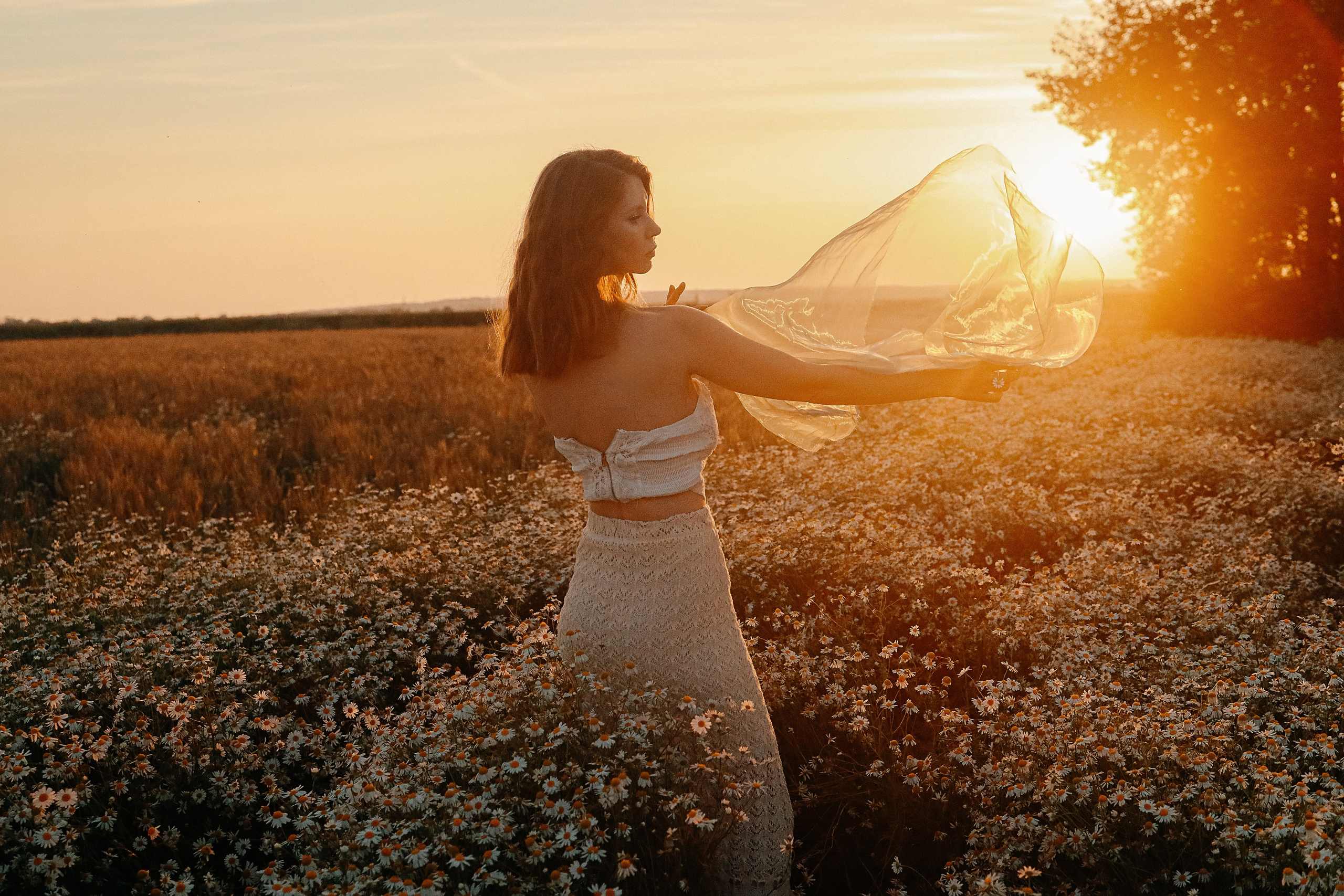 Фотосессия в ромашках и поле пшеницы. Иванова Ирина Свадебный и семейный фотограф г. Уфа