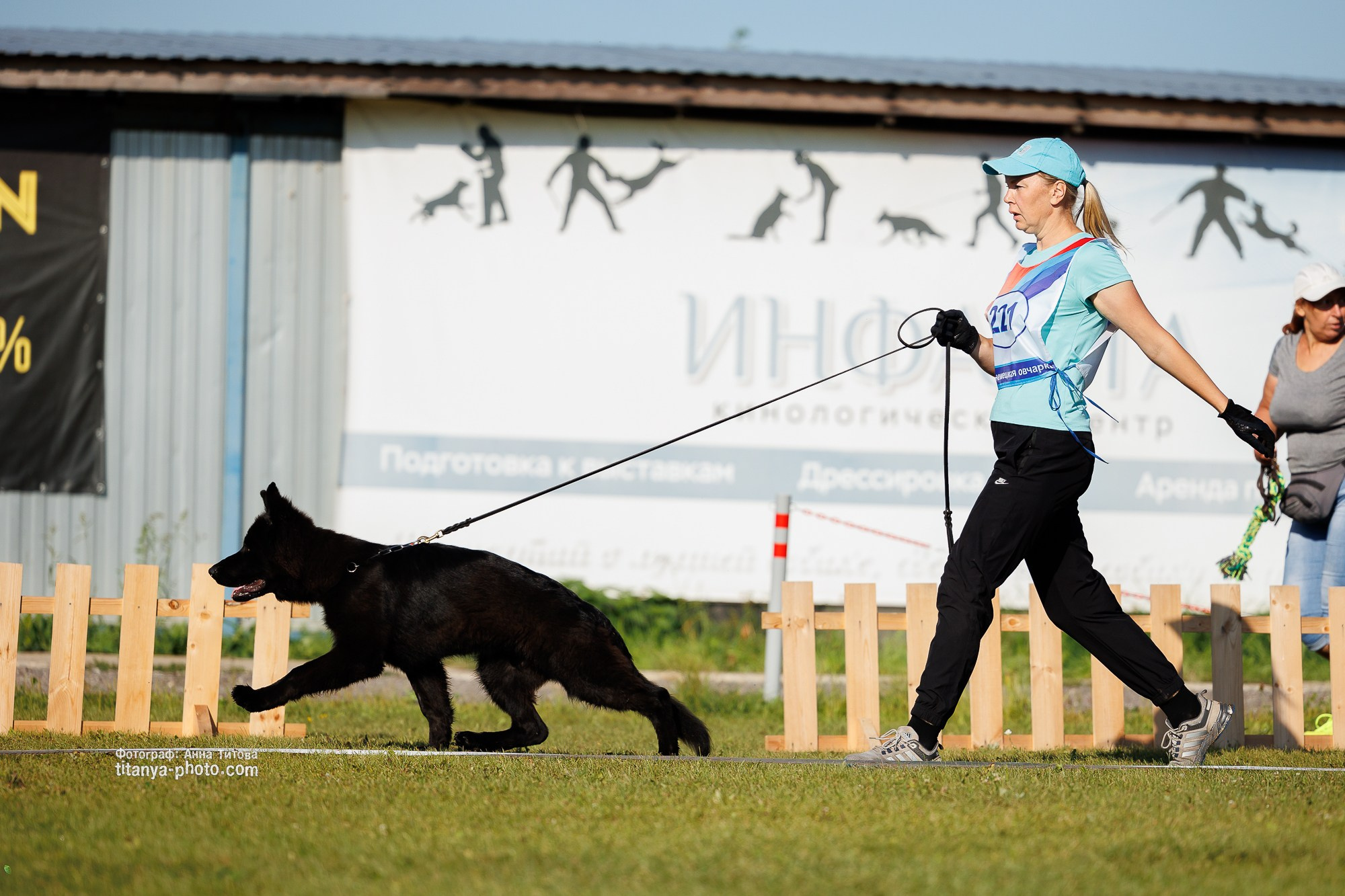 Немецкие овчарки: фото из рингов и вне ринга, мутпроба (фотографии с выставок). Фотограф собак, фотограф-анималист Аня Титова (Titanya). Москва