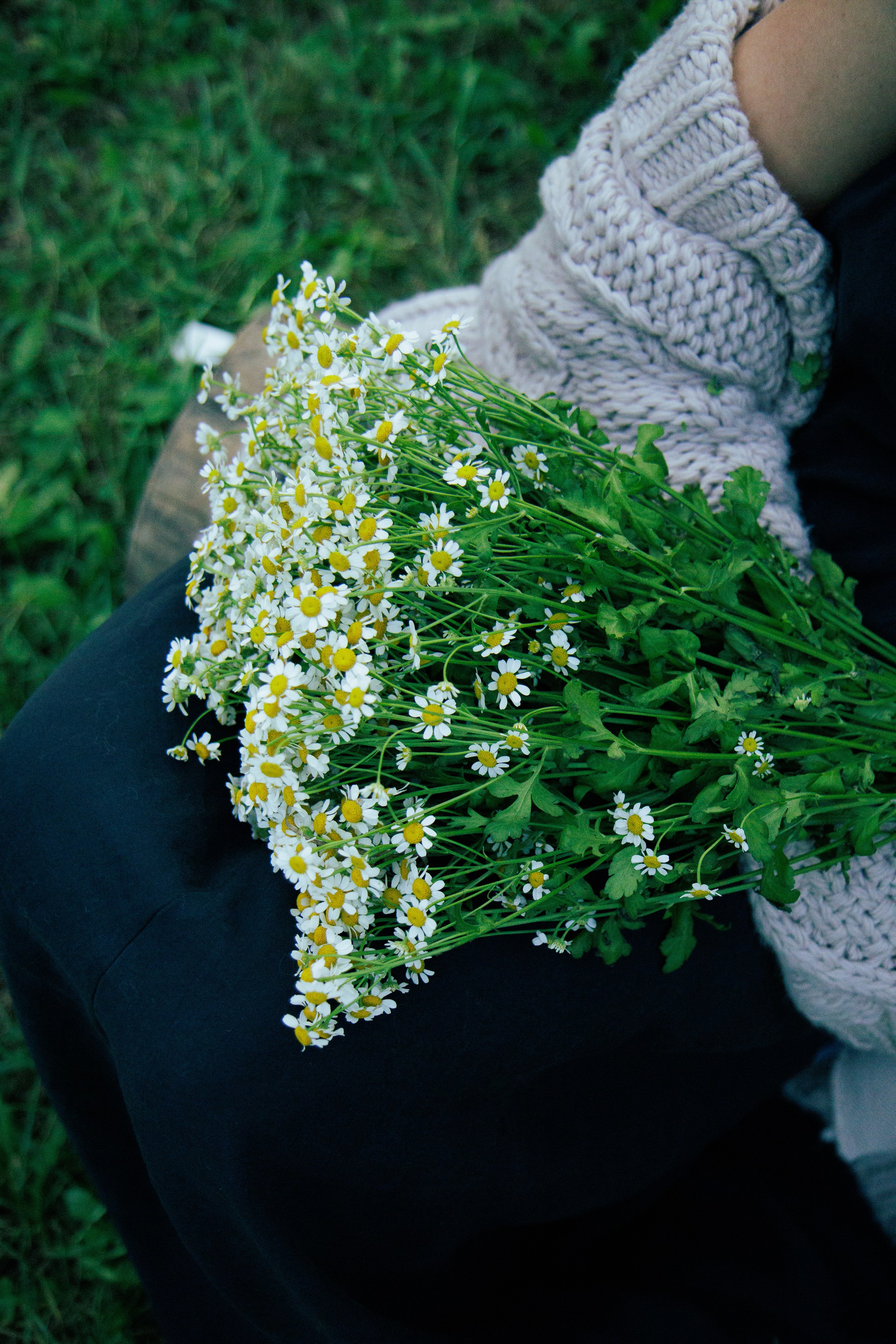 Дарья. Семейный и детский фотограф в Королёве Шарутина Лидия