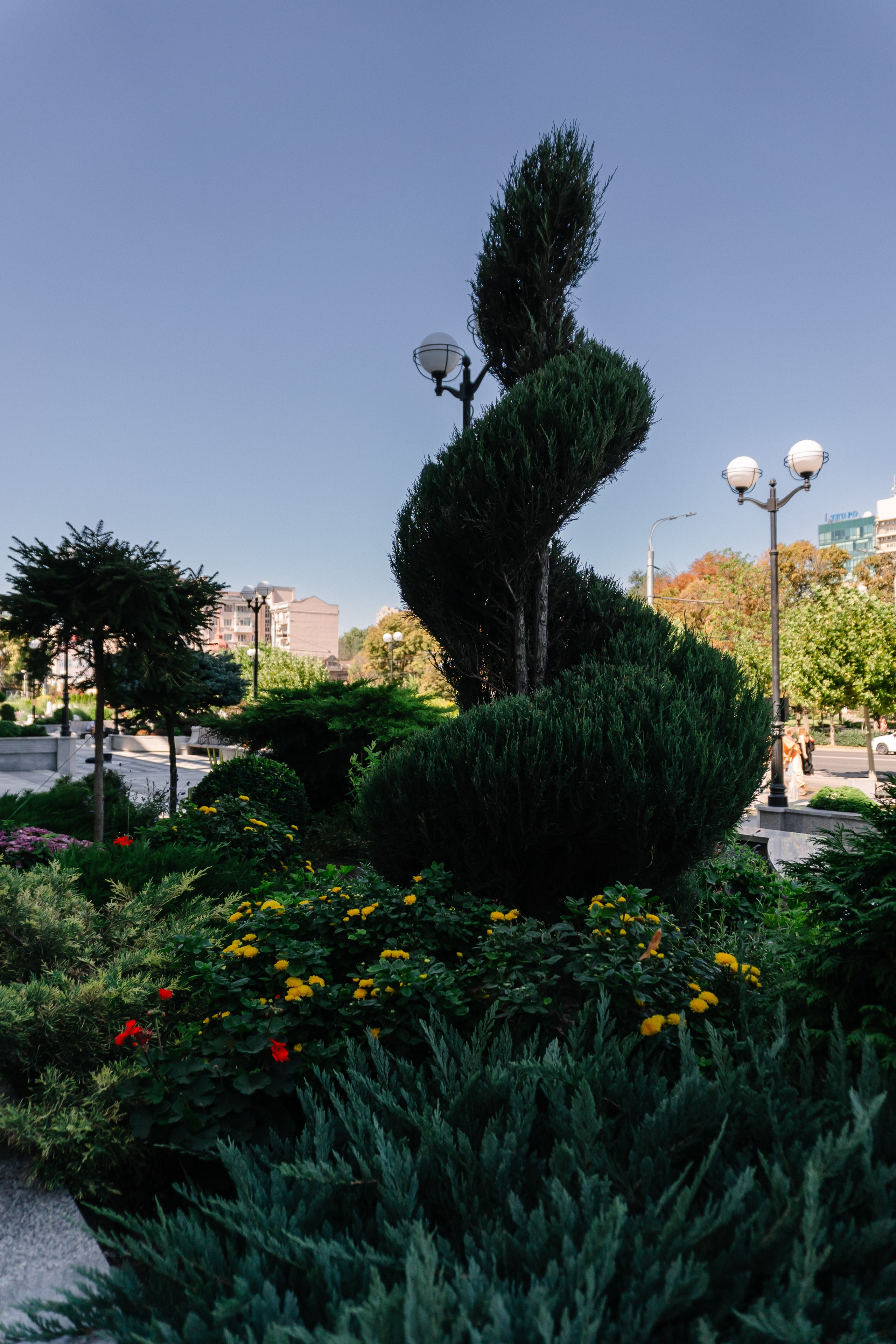 Локации для школьных съемок. Семейный фотограф и видеограф Ростов-на-Дону
