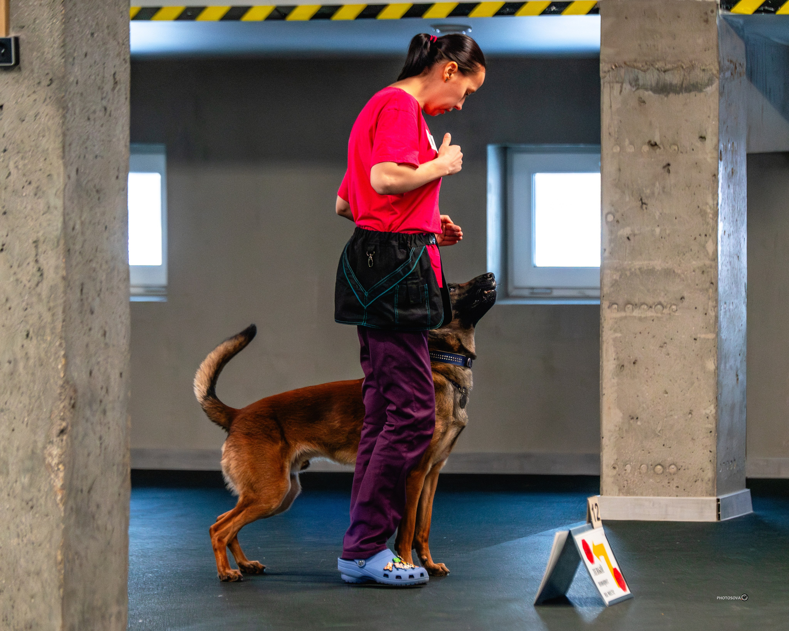 ТЫ И Я (соревнования по ралли-обидиенс). Фотограф-анималист, семейный фотограф в Москве и Подмосковье. Фотосъёмка кинологических дисциплин