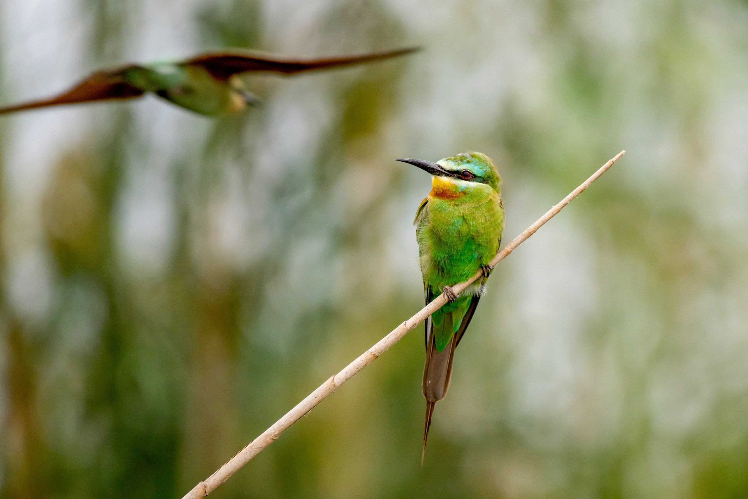 Природа Дагестана, сентябрь 2024. Foto-Zuev фотография как искусство