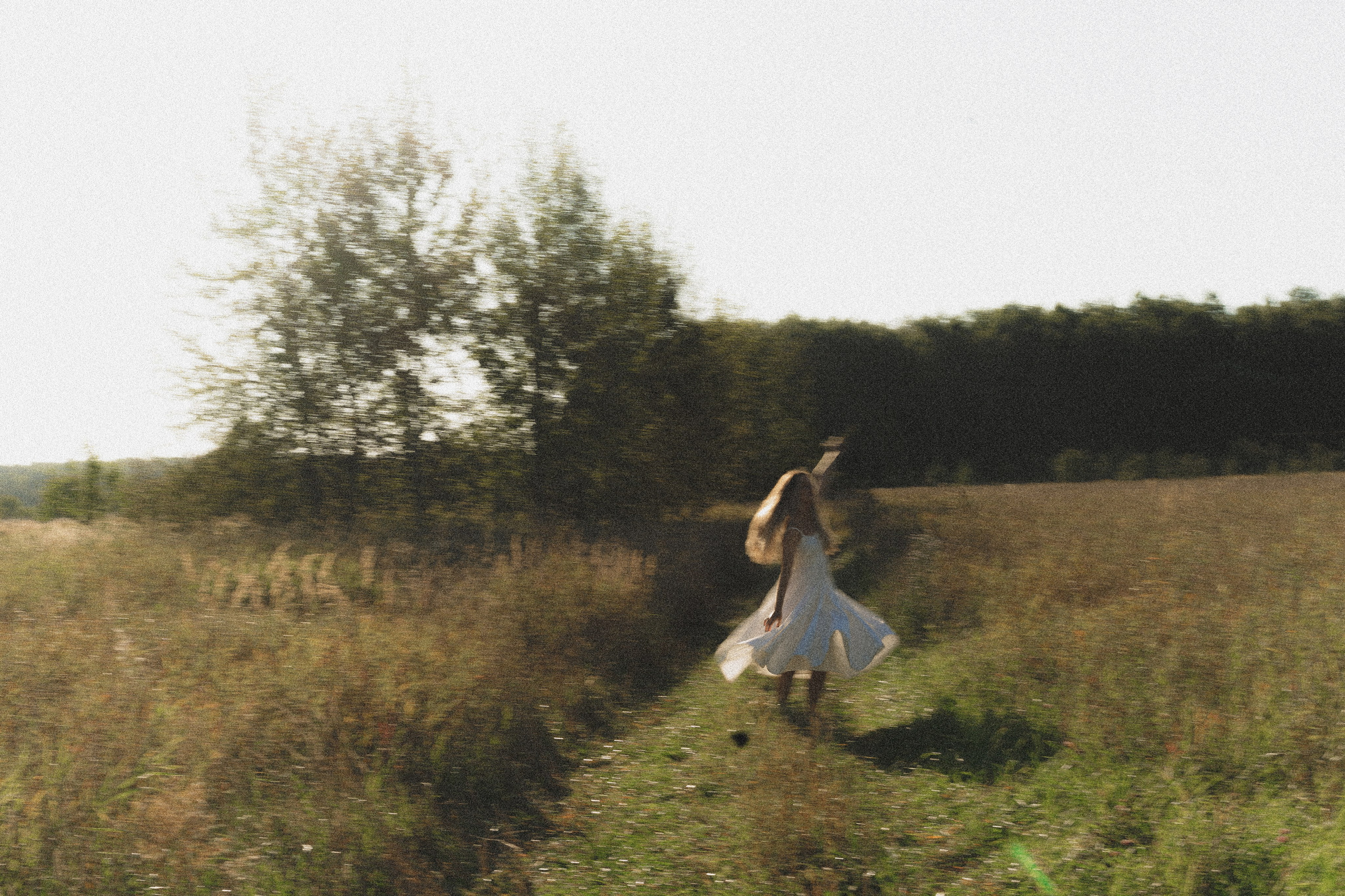 Ирис. Фотограф Милованова Александра