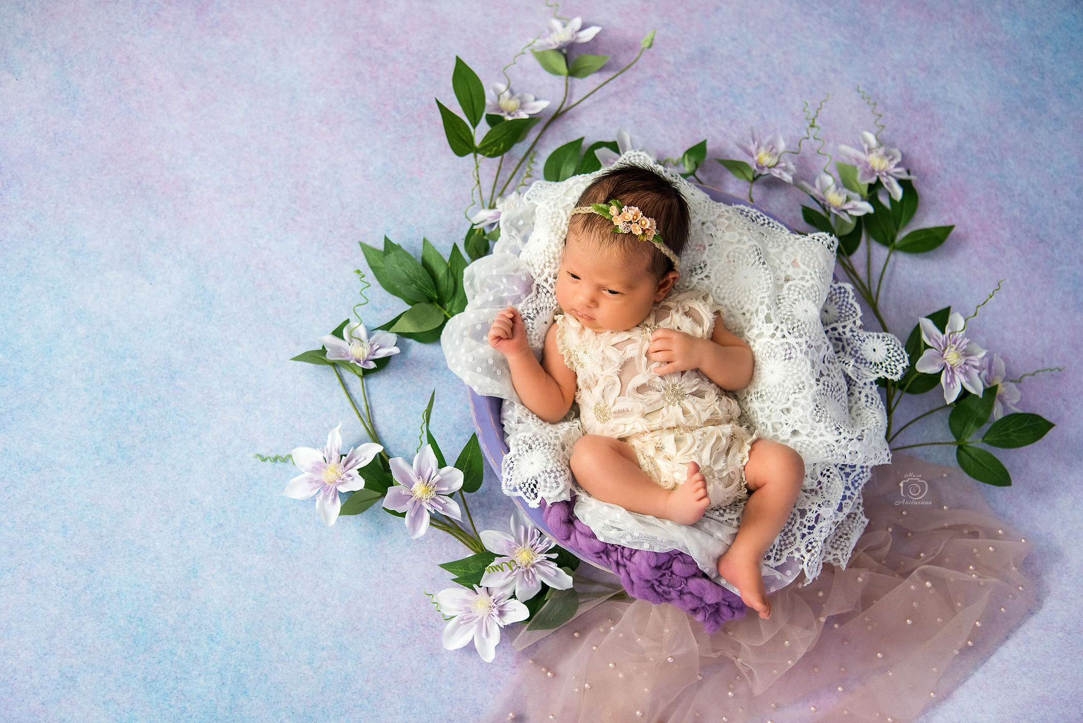 Портфолио новорожденных. Фотограф в Нефтеюганске Мила Аксёнкина