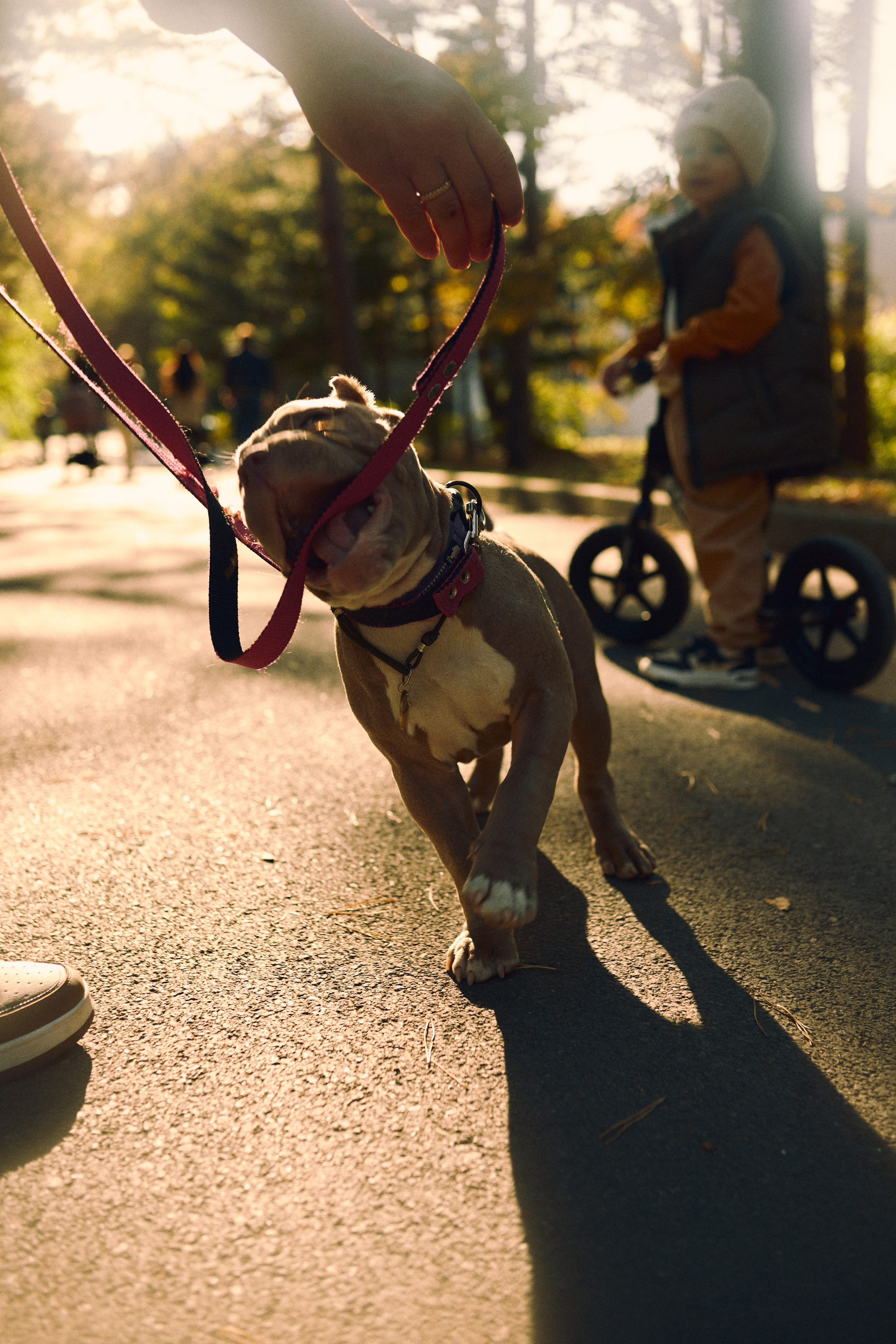 Парк осенью. Фотограф Ионова Анастасия, г Владивосток