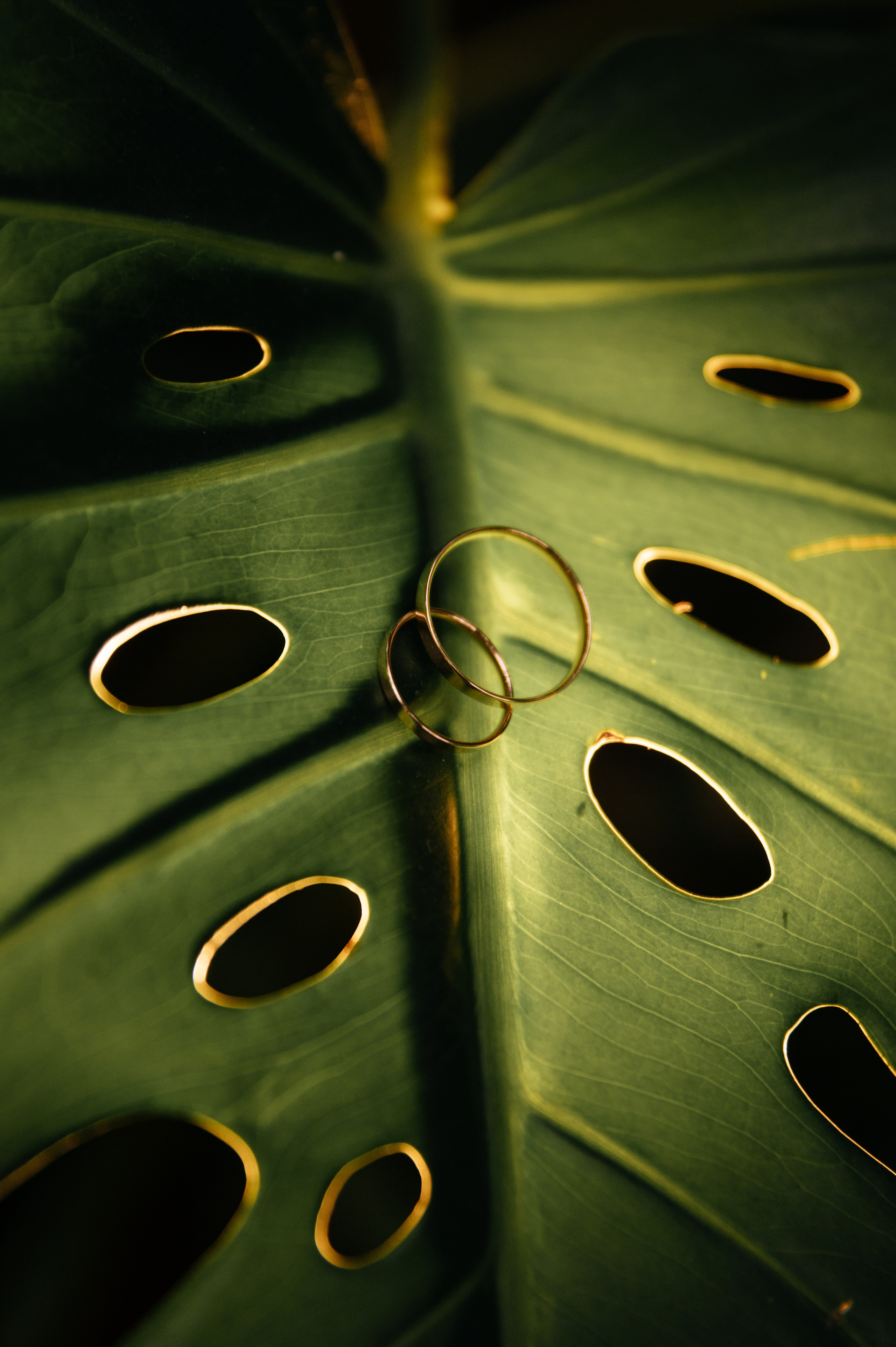 Алексей и Эльвира. Свадебный и студийный фотограф Ирина Котикова