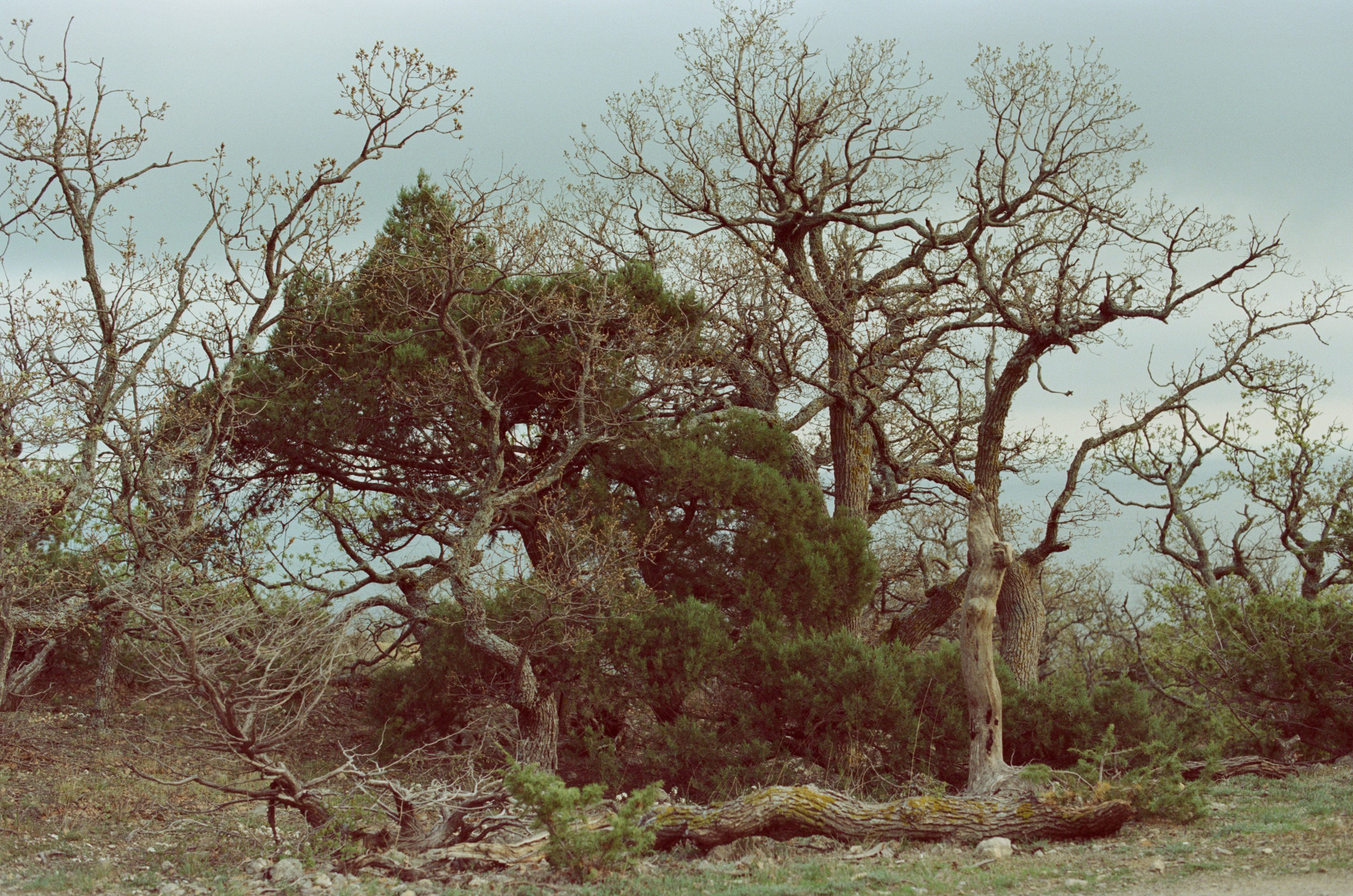 Follow you // ukraine, crimea. EVER EXPOSED