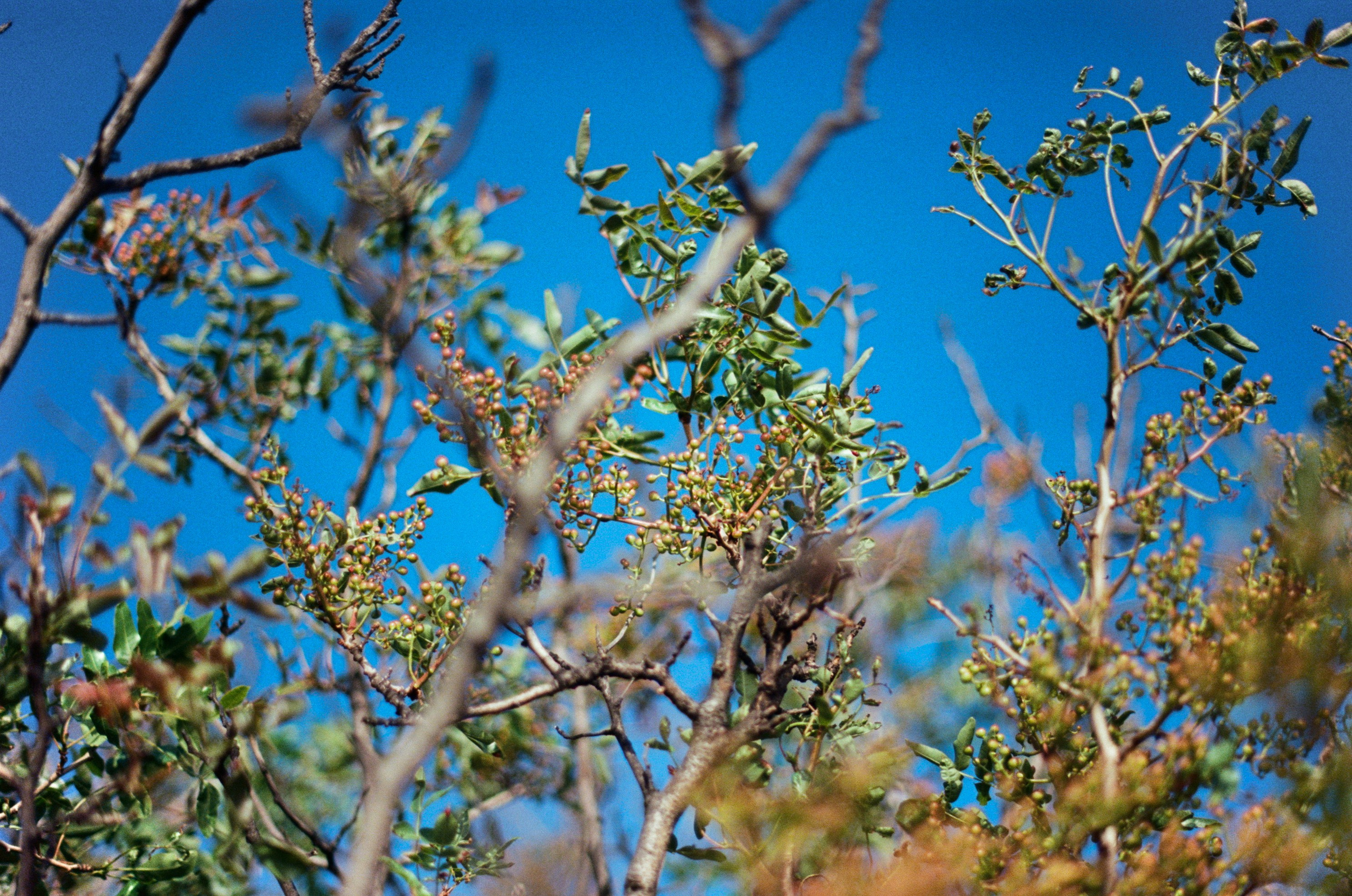 Kool-aid // ukraine, crimea IV. EVER EXPOSED