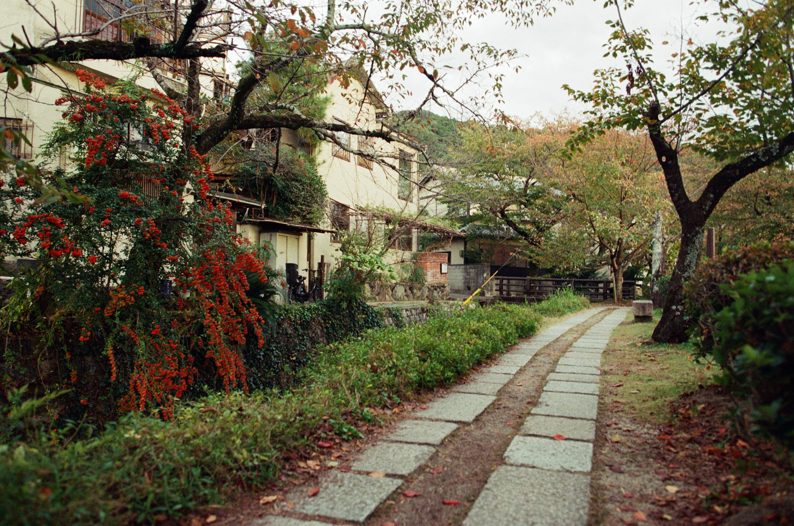 Out of noise // japan, kyoto IV. EVER EXPOSED