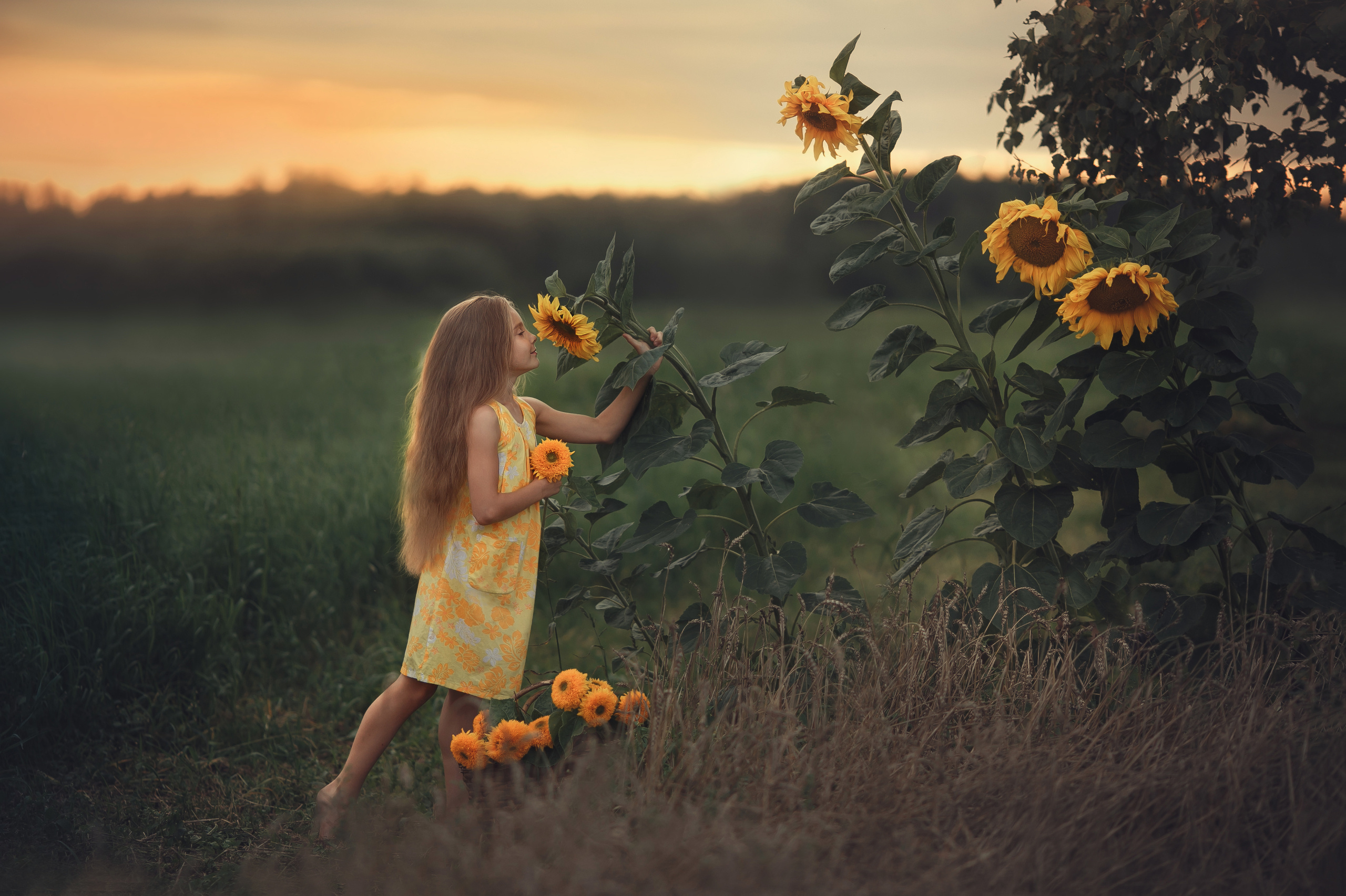 Семейные истории. Фотограф беременности и семейный фотограф в Могилеве, Минске Елена Шин