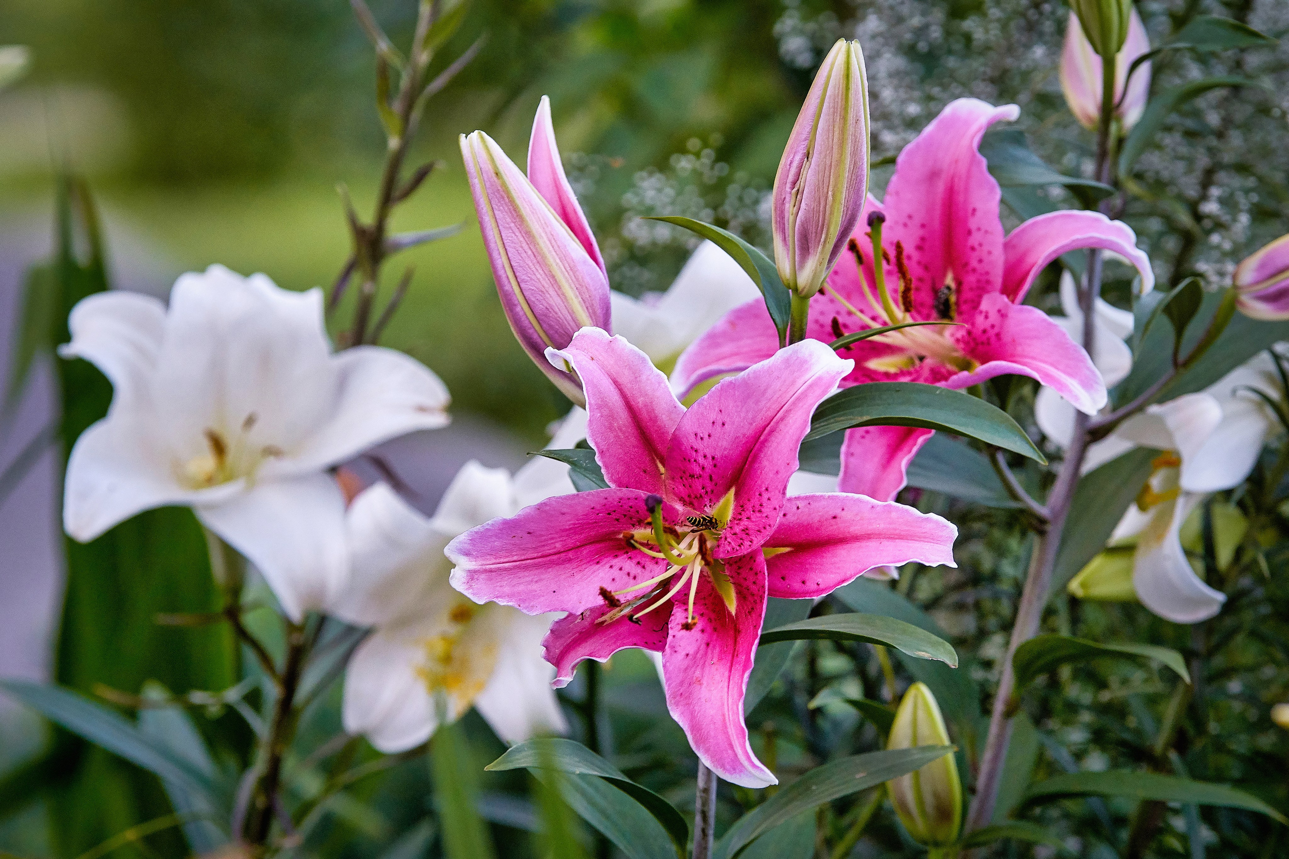 Наша мать — природа. Фотограф Владимир Артамонов