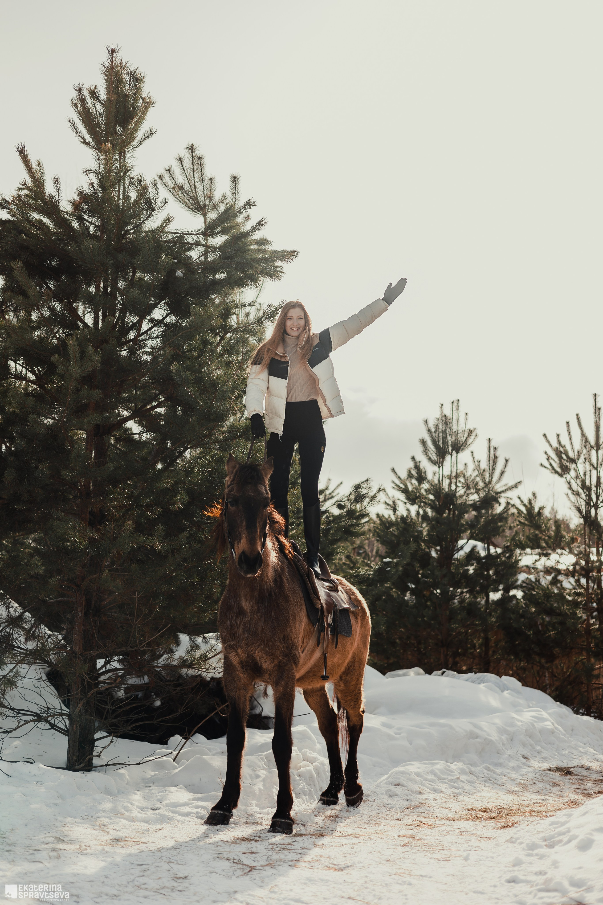 Среди грив и копыт. Фотограф Анималист Екатерина Справцева в Нижнем Новгороде