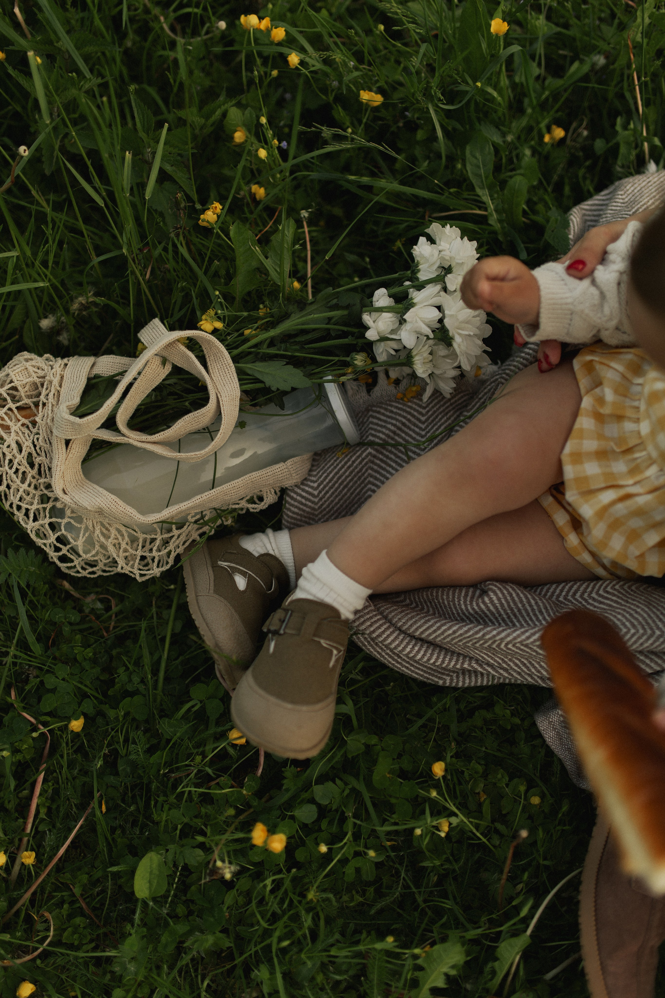 Лола и Софи. Главная