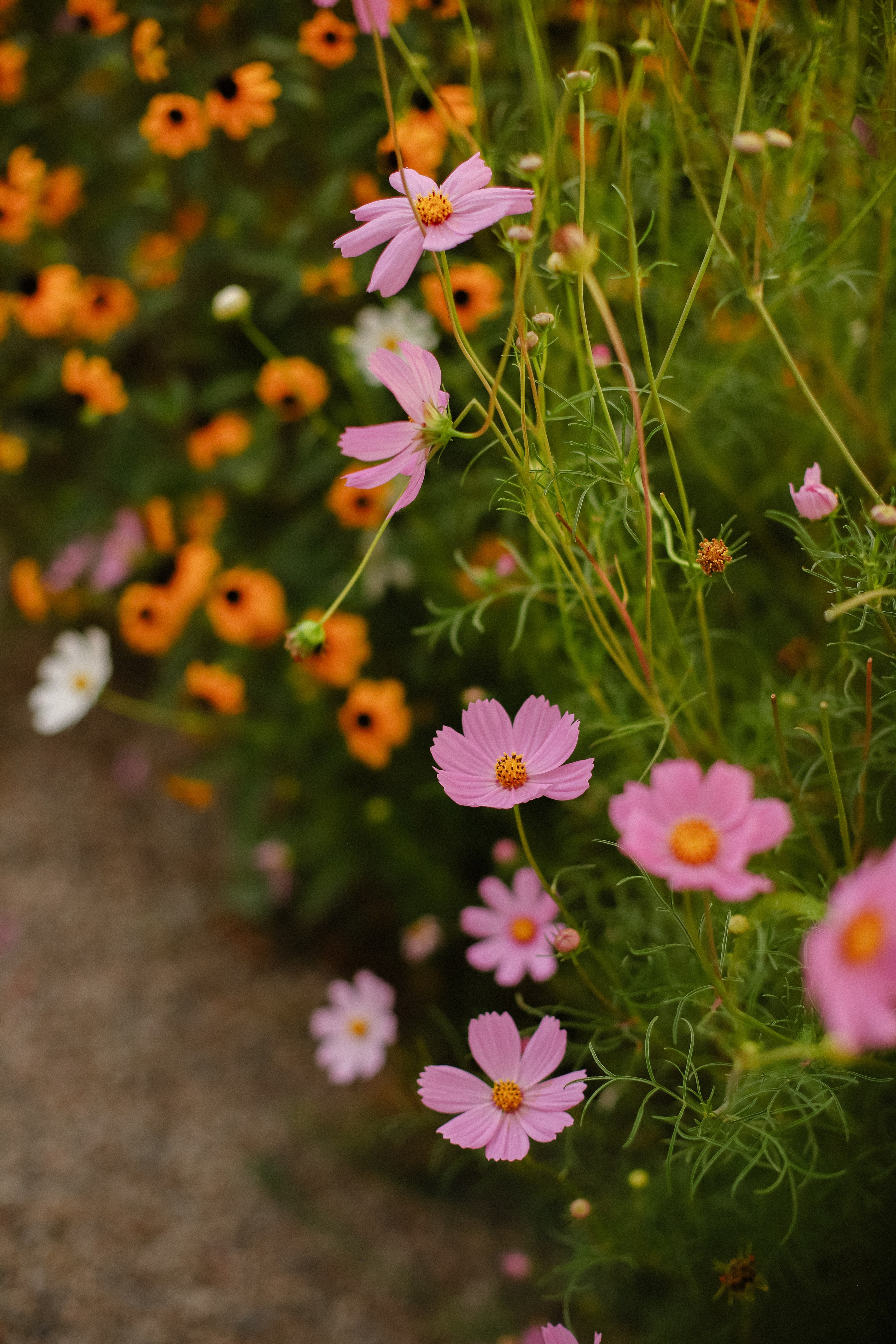 1+1=6. Фотограф в Алматы и Москве Даша Пушкина