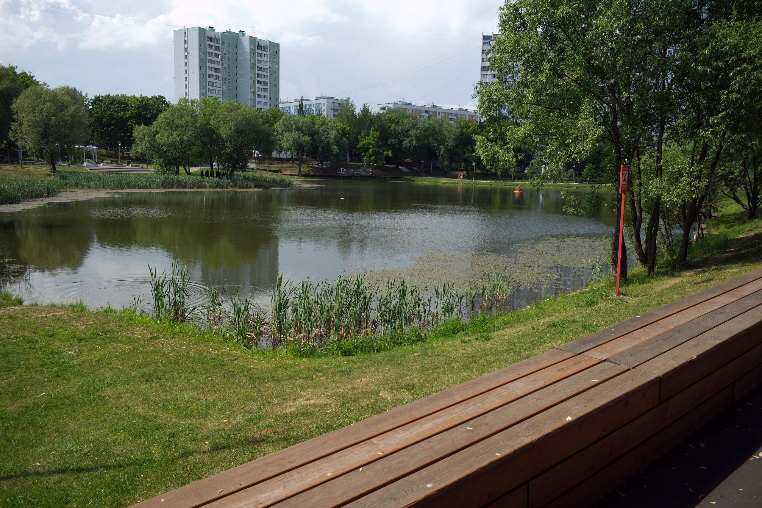 31.05.2025. Покровский парк. Активное долголетие. Улица, люди, жизнь…