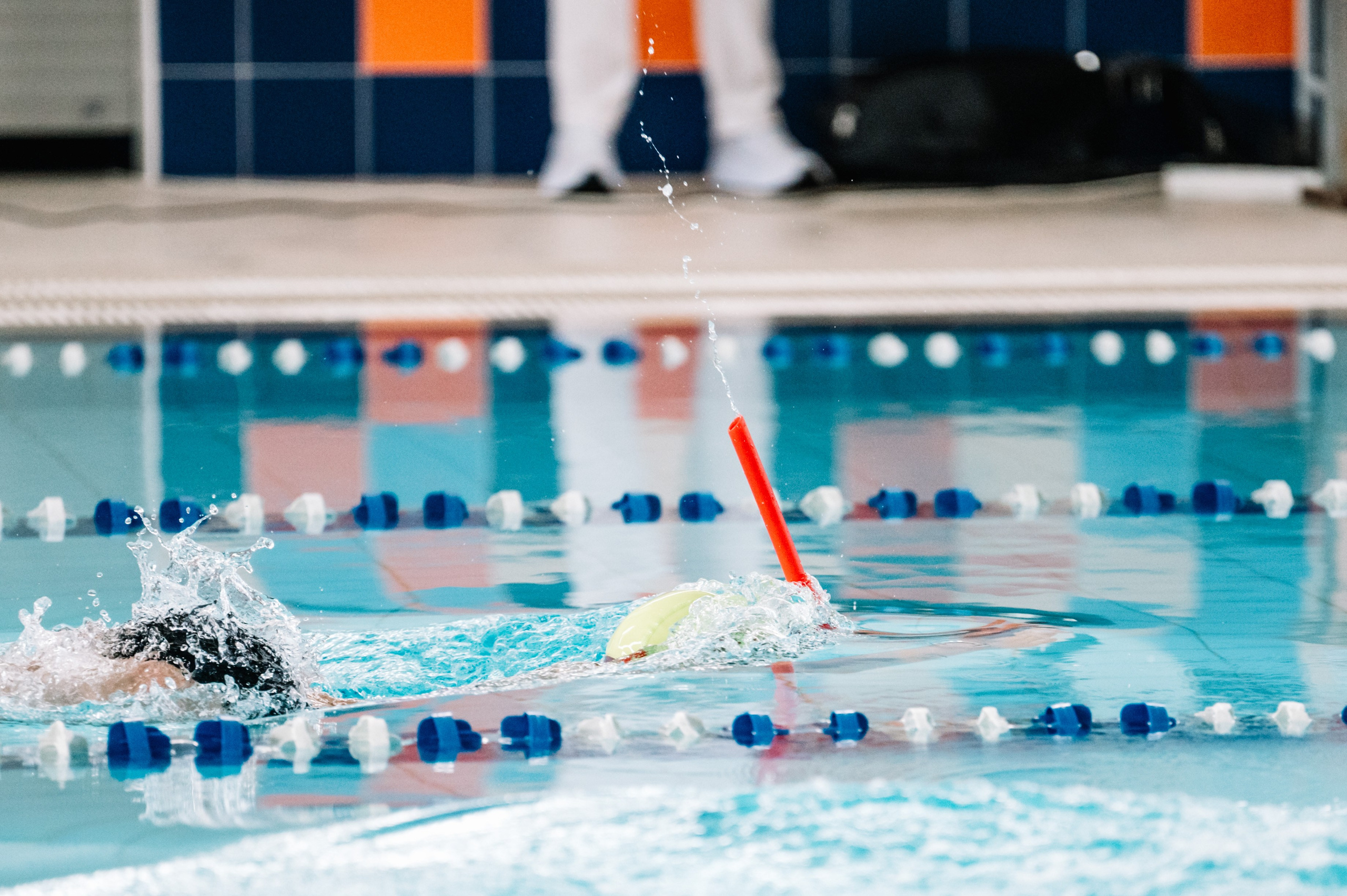 Финал кубка плавания ШП Дельфин. Июнь, 2025. Спортивный фотограф в Туле и Тульской области. Файсханова Фото Спорт