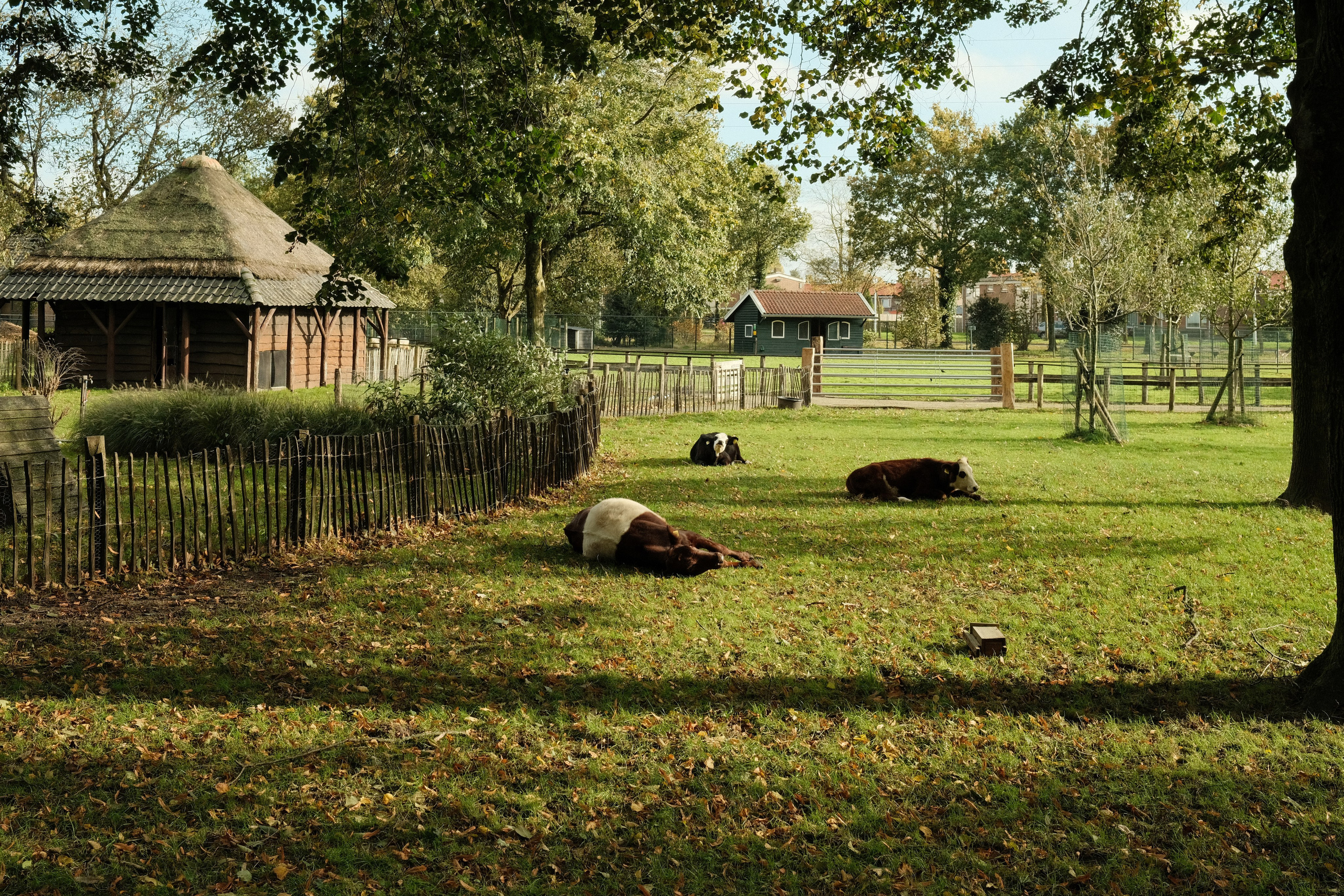 Фотографии Нидерландов | Филипп Линзин. Репортажный и портретный фотограф в Санкт-Петербурге Филипп Линзин