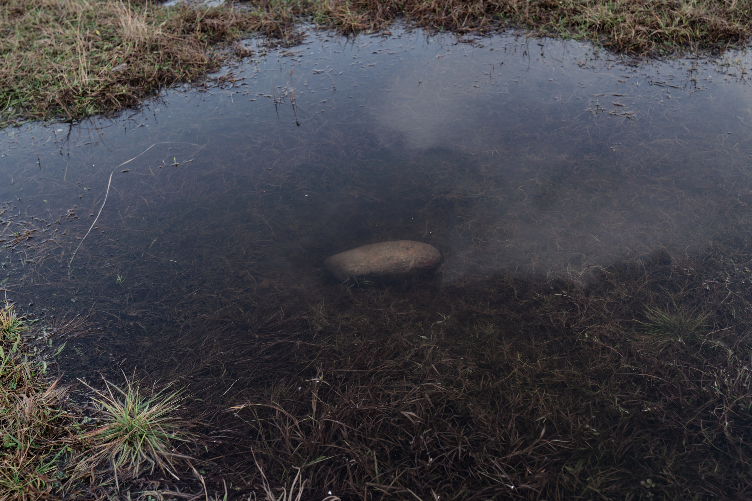 Городской пейзаж — deadpan | Филипп Линзин. Репортажный и портретный фотограф в Санкт-Петербурге Филипп Линзин