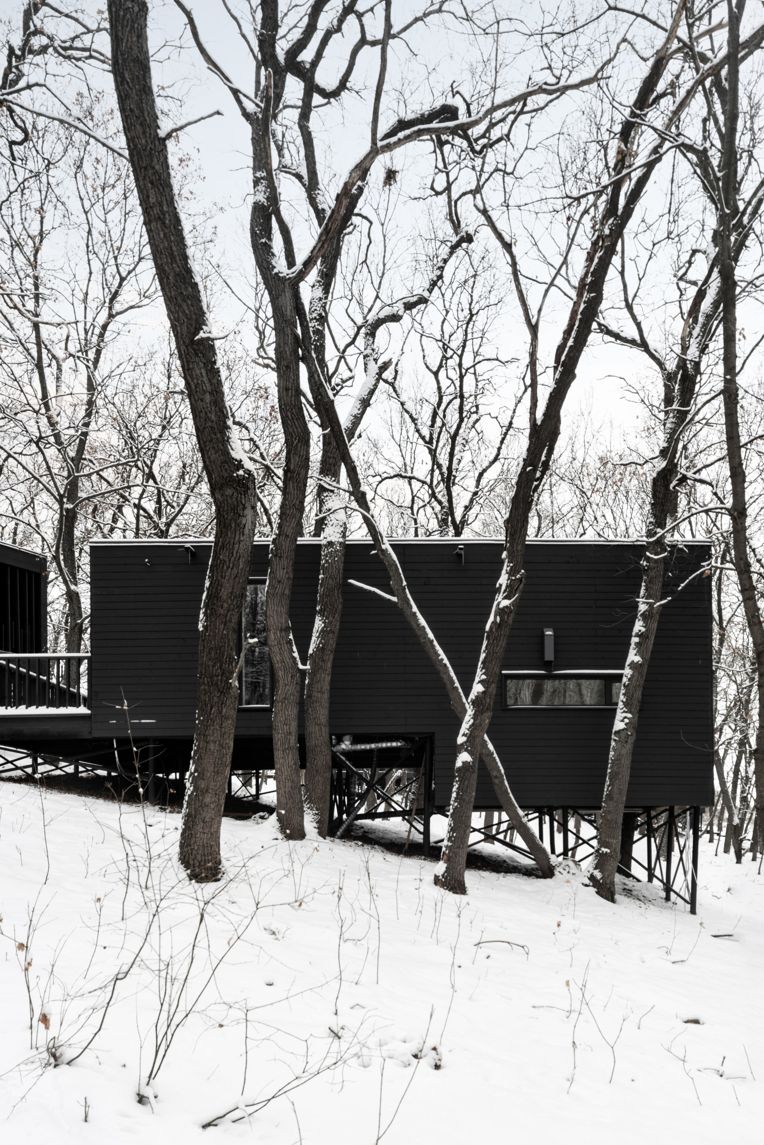 ХОЛМ. SAAS Селиванов Алексей Архитектурная Студия