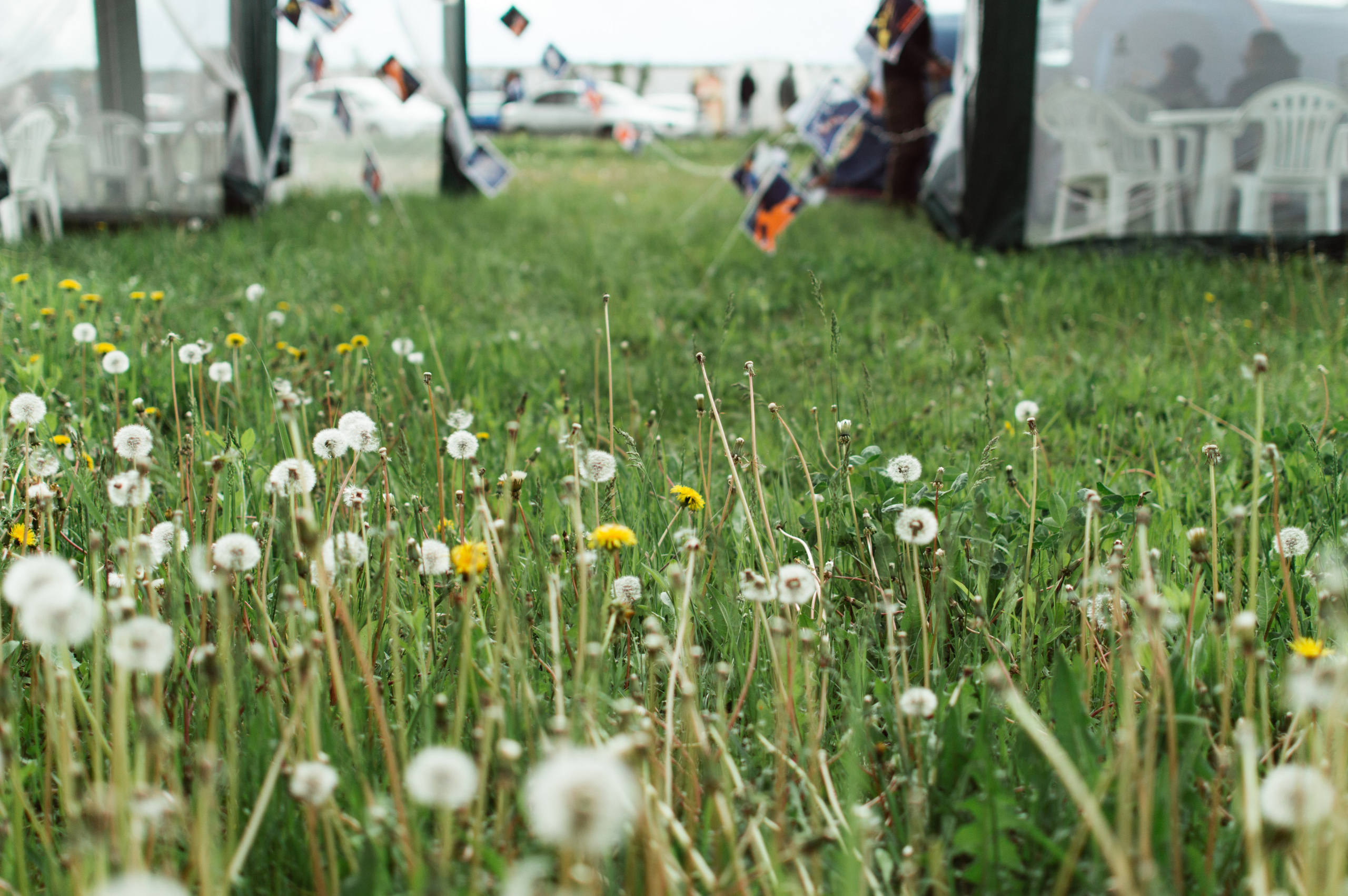 Шокофест. Главная