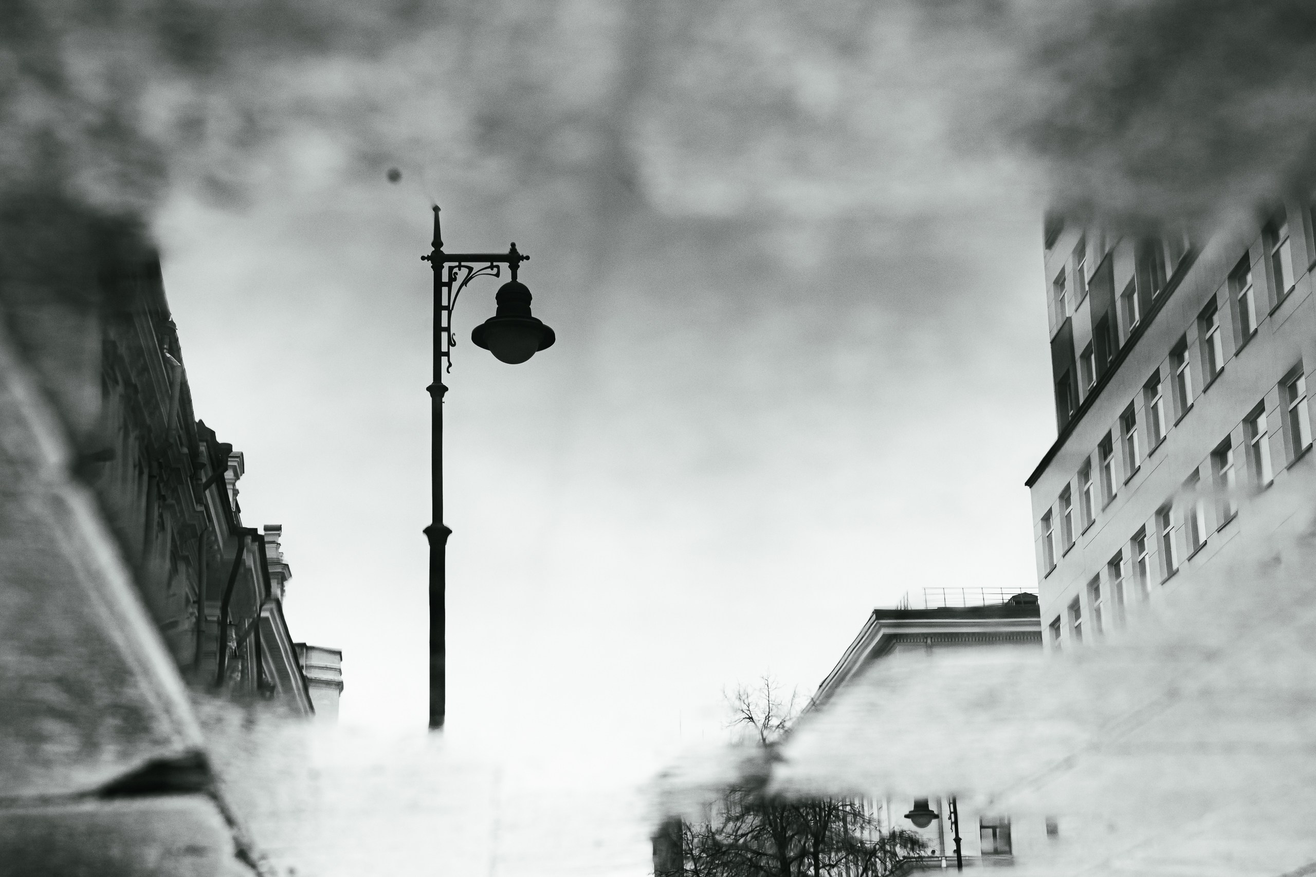 Фото-прогулка. Пенкин Александр