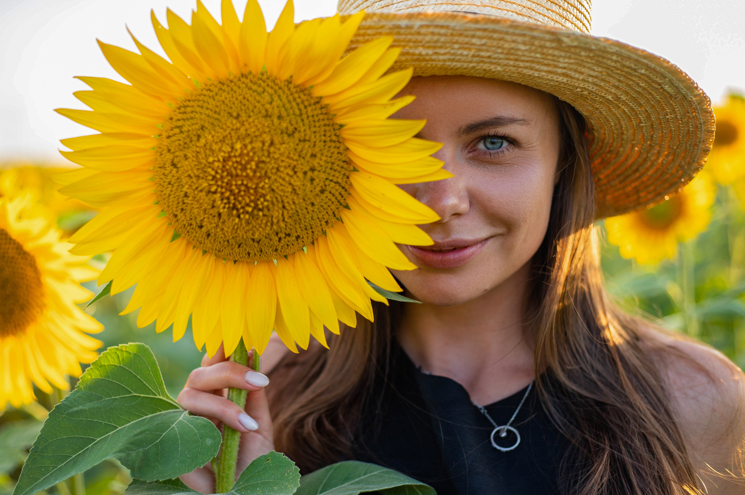 S U N F L O W E R. Фотограф Немазенко Ольга