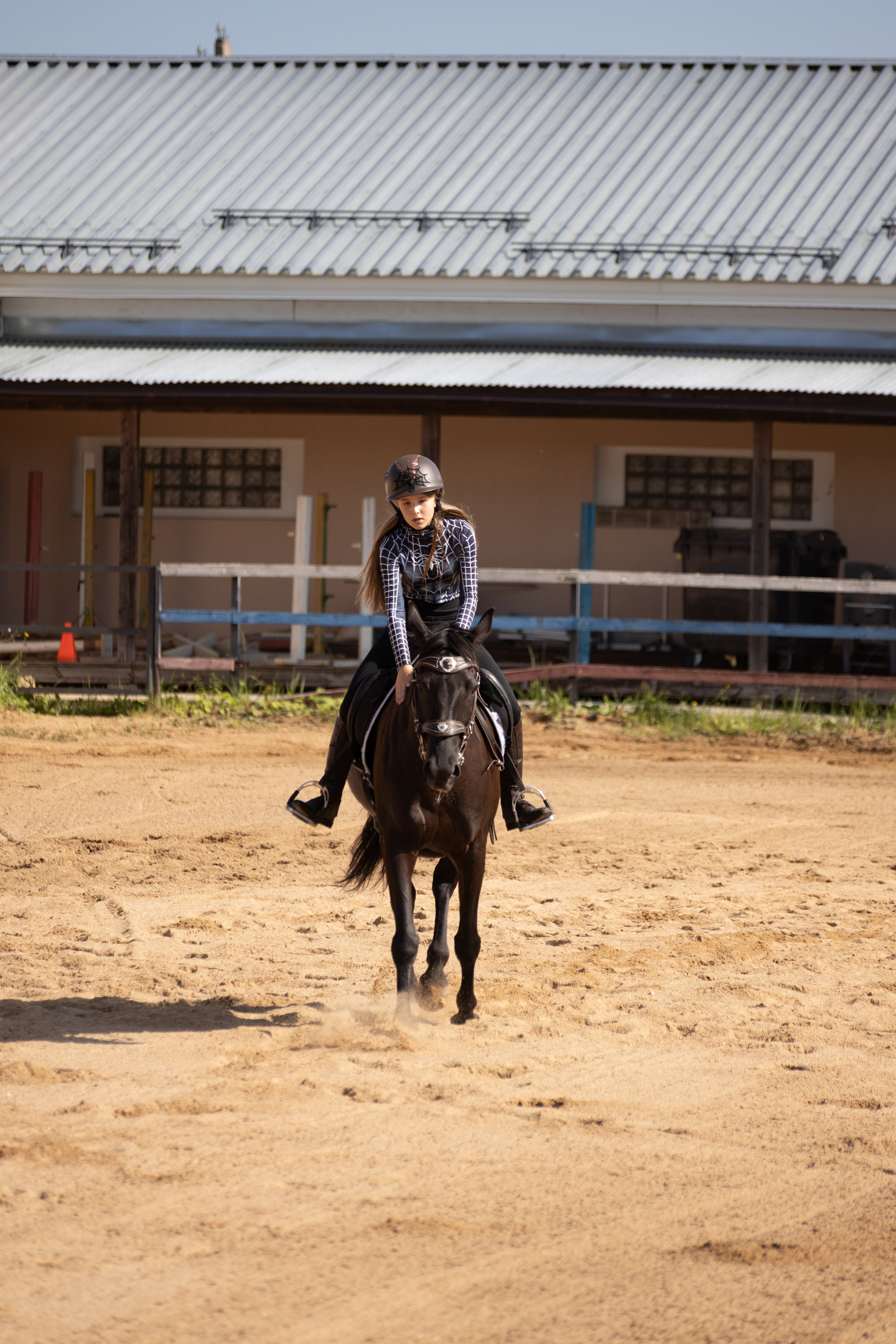 Конюшня. Фотограф в Москве и Истре