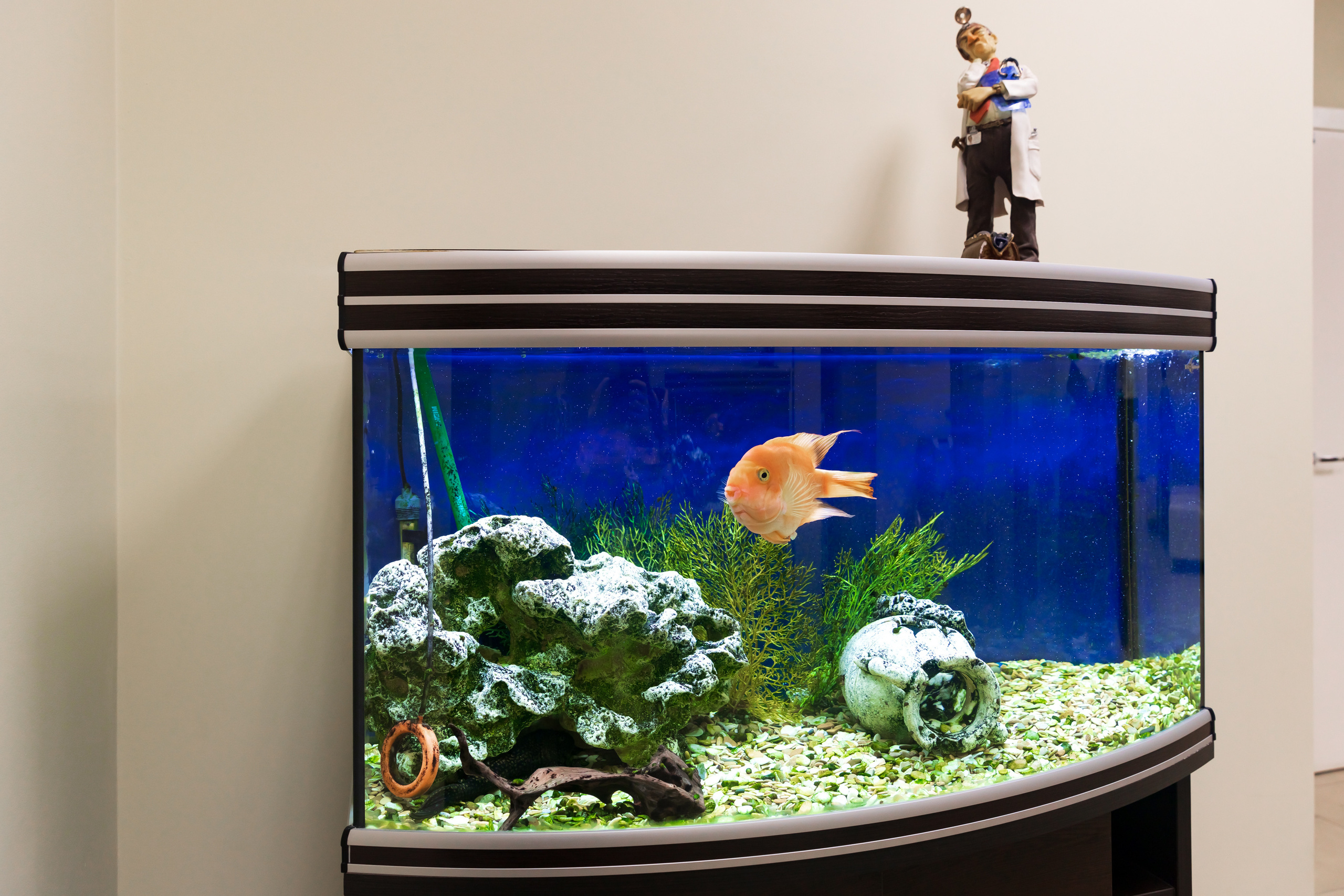 Съемка интерьера для стоматологической клиники Арт-Орион. Интерьеры, Контент, Портреты | Фотограф в Москве Дани Терно