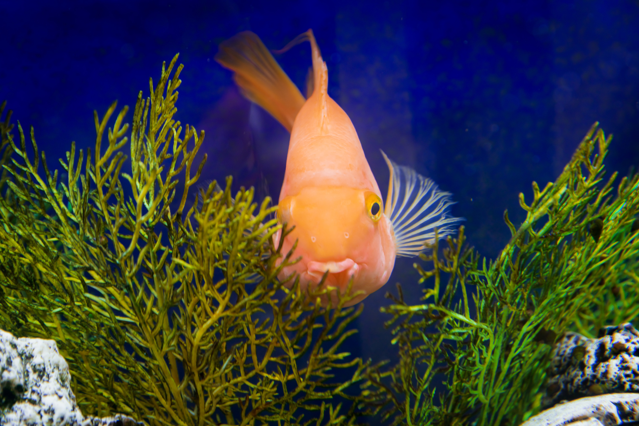 Съемка интерьера для стоматологической клиники Арт-Орион. Интерьеры, Контент, Портреты | Фотограф в Москве Дани Терно