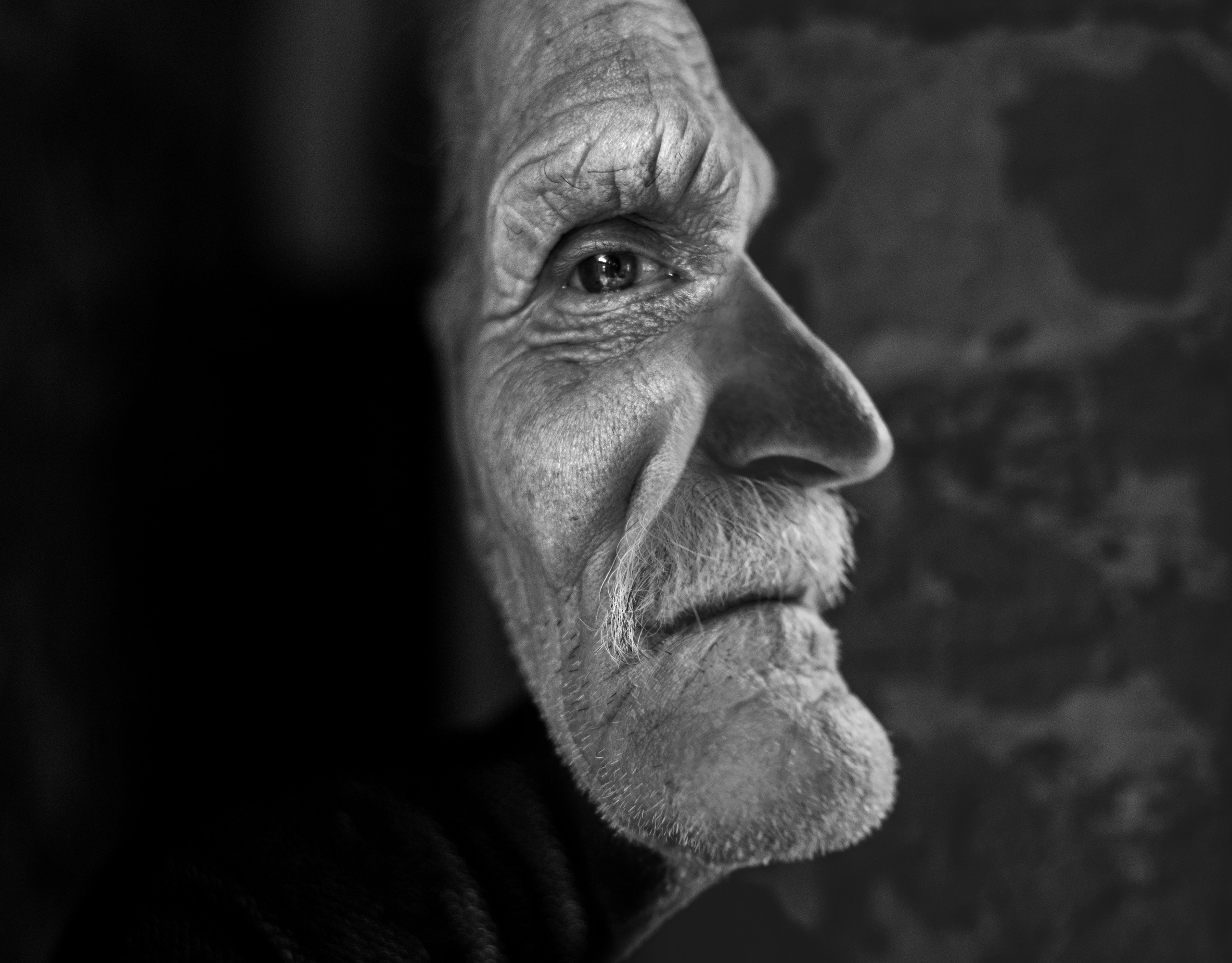 Анастасия Голубева. Art Portrait