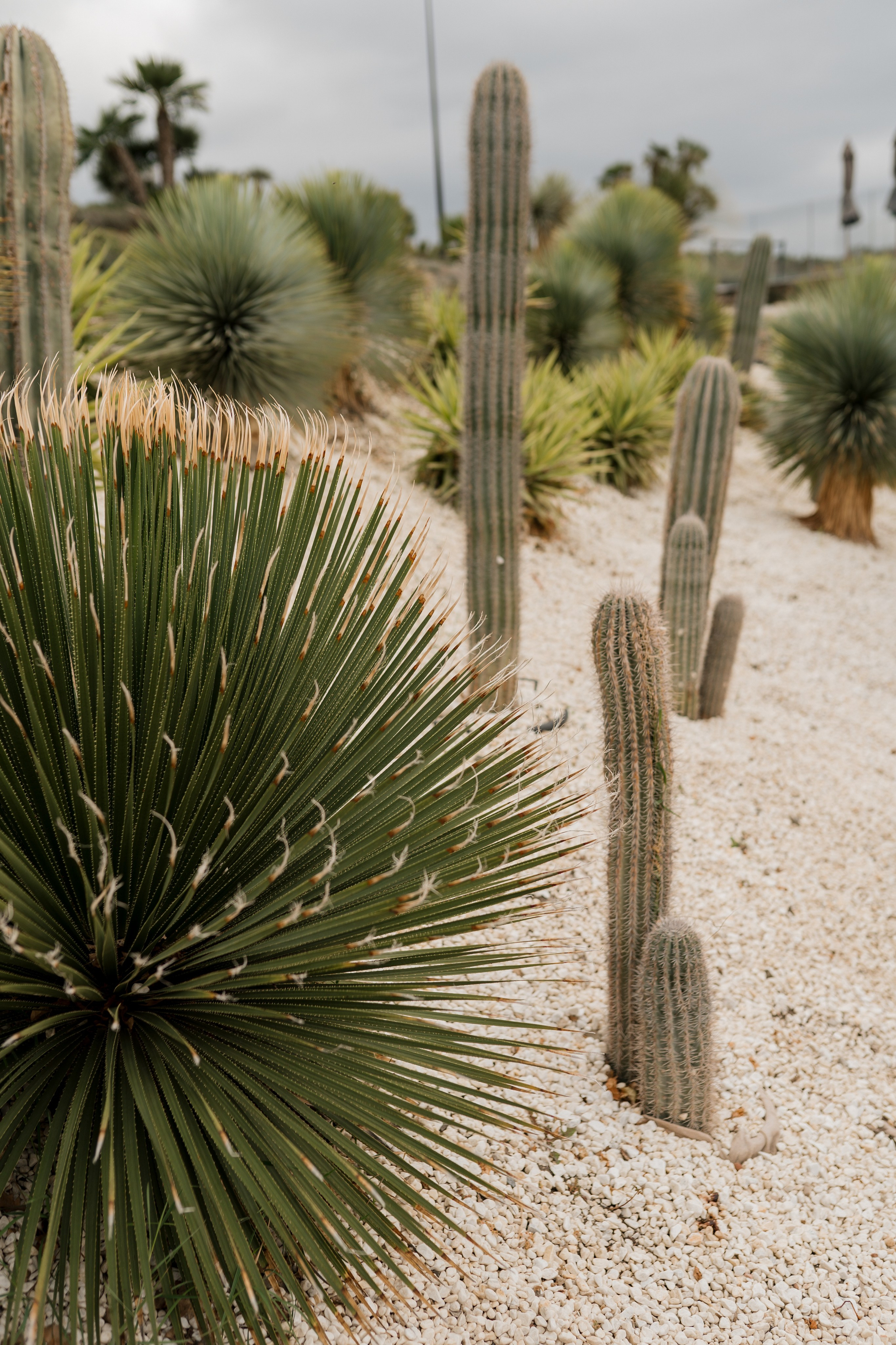 Дмитрий и Дарья. Главная