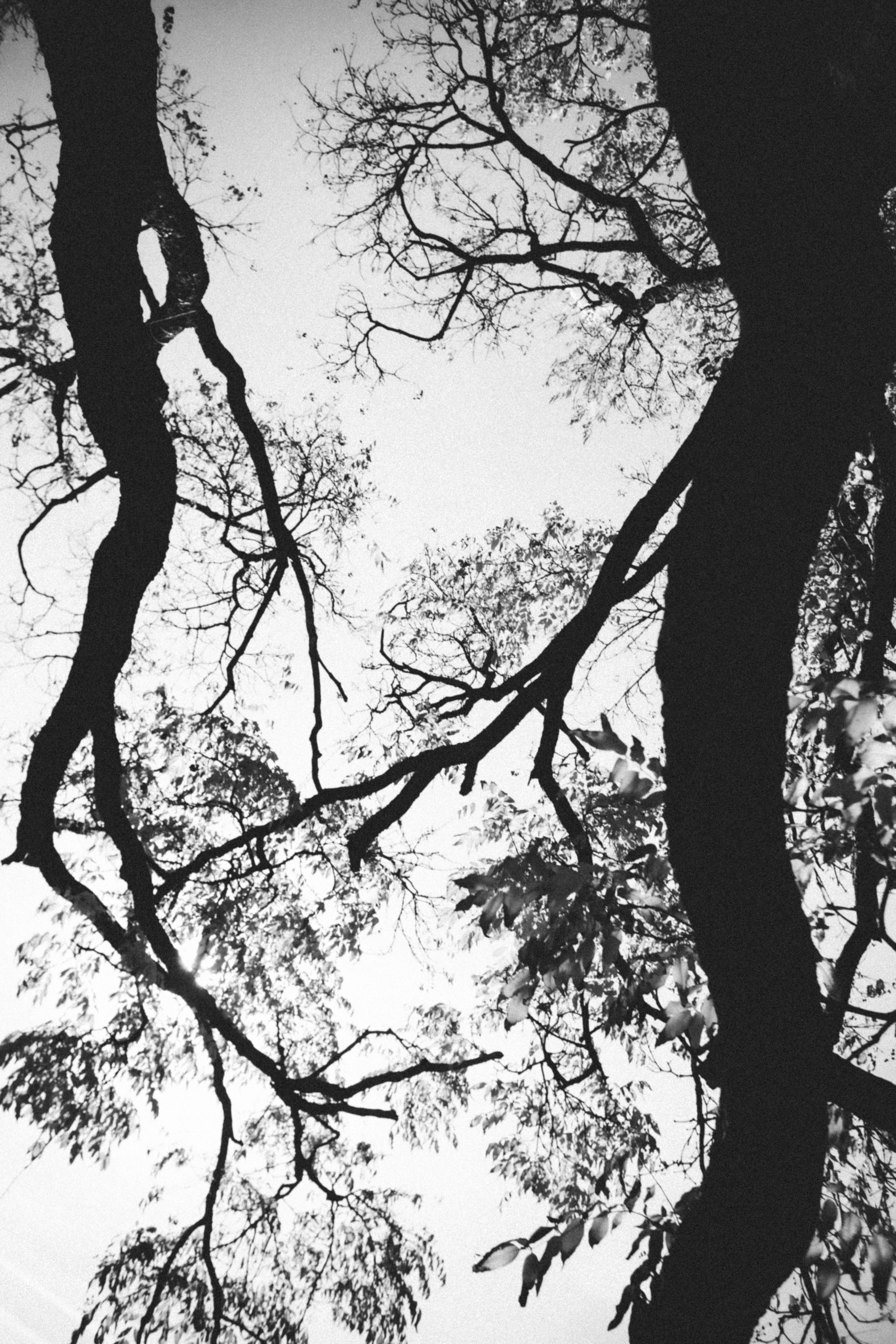 Влада. Холодный переулок. Фотограф в Нижнем Новгороде