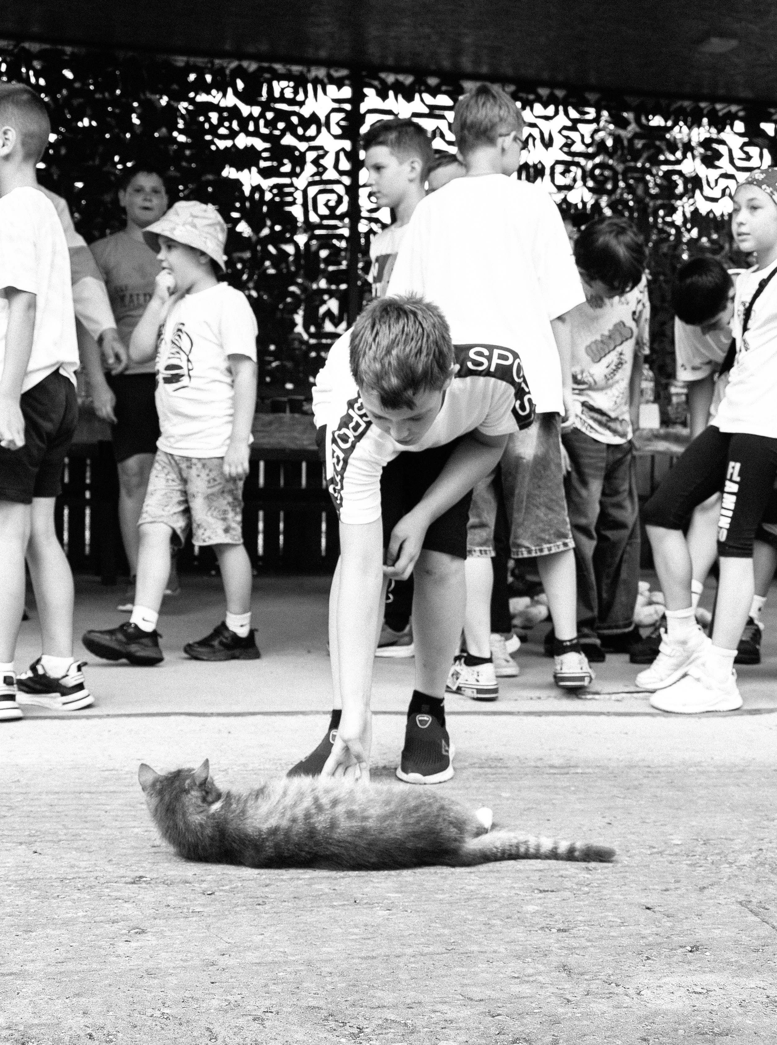 Репортаж. Фотограф Краснодарский край