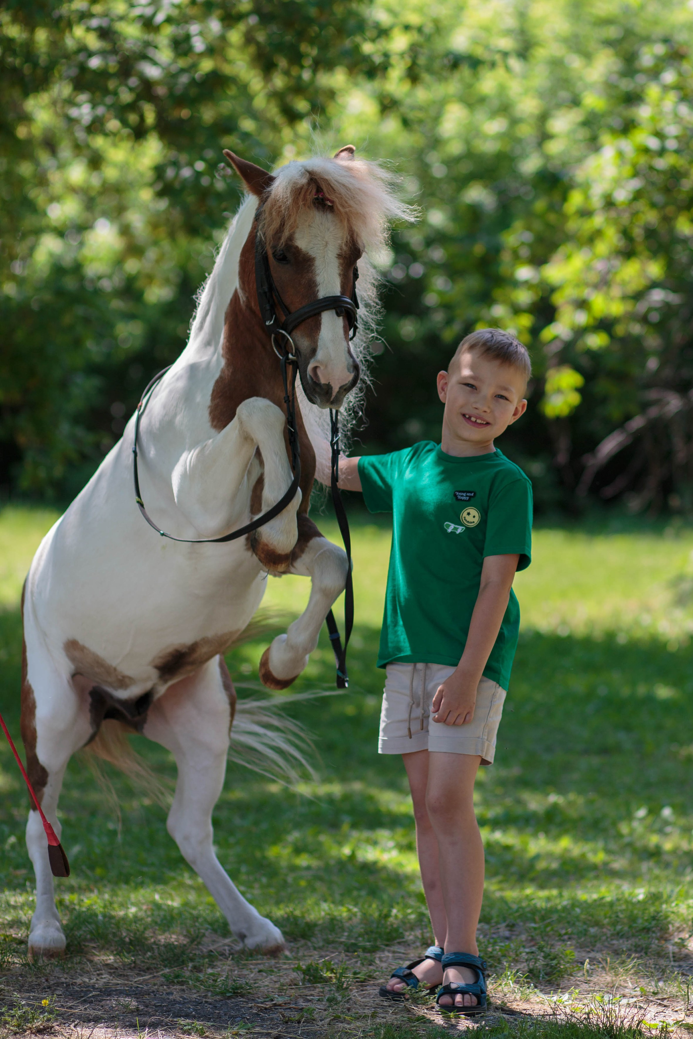 Пони и дети. Конный фотограф в Красноярске — Любовь Похабова