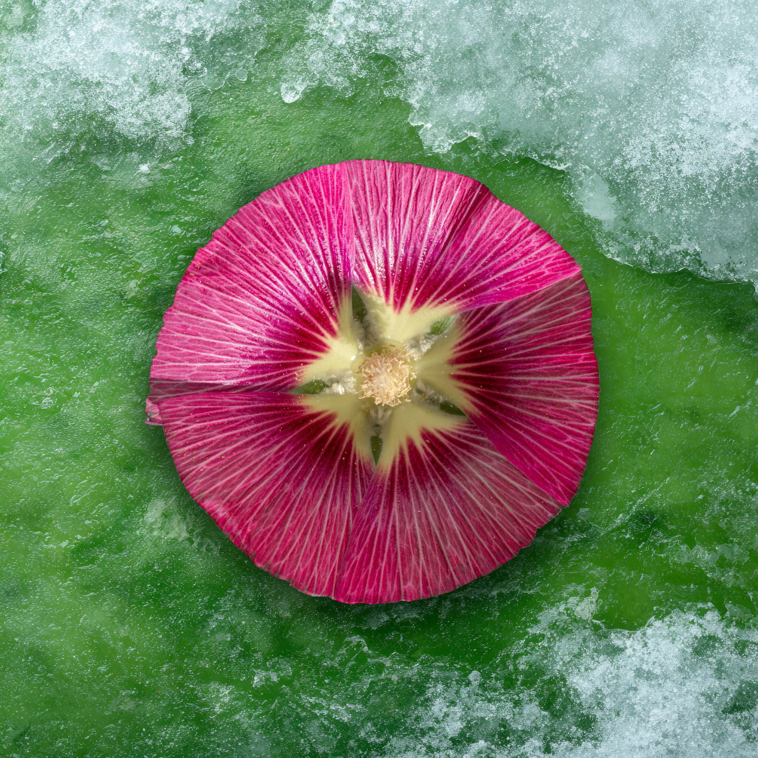 Кубики. Alena Ivochkina — conceptual photographer