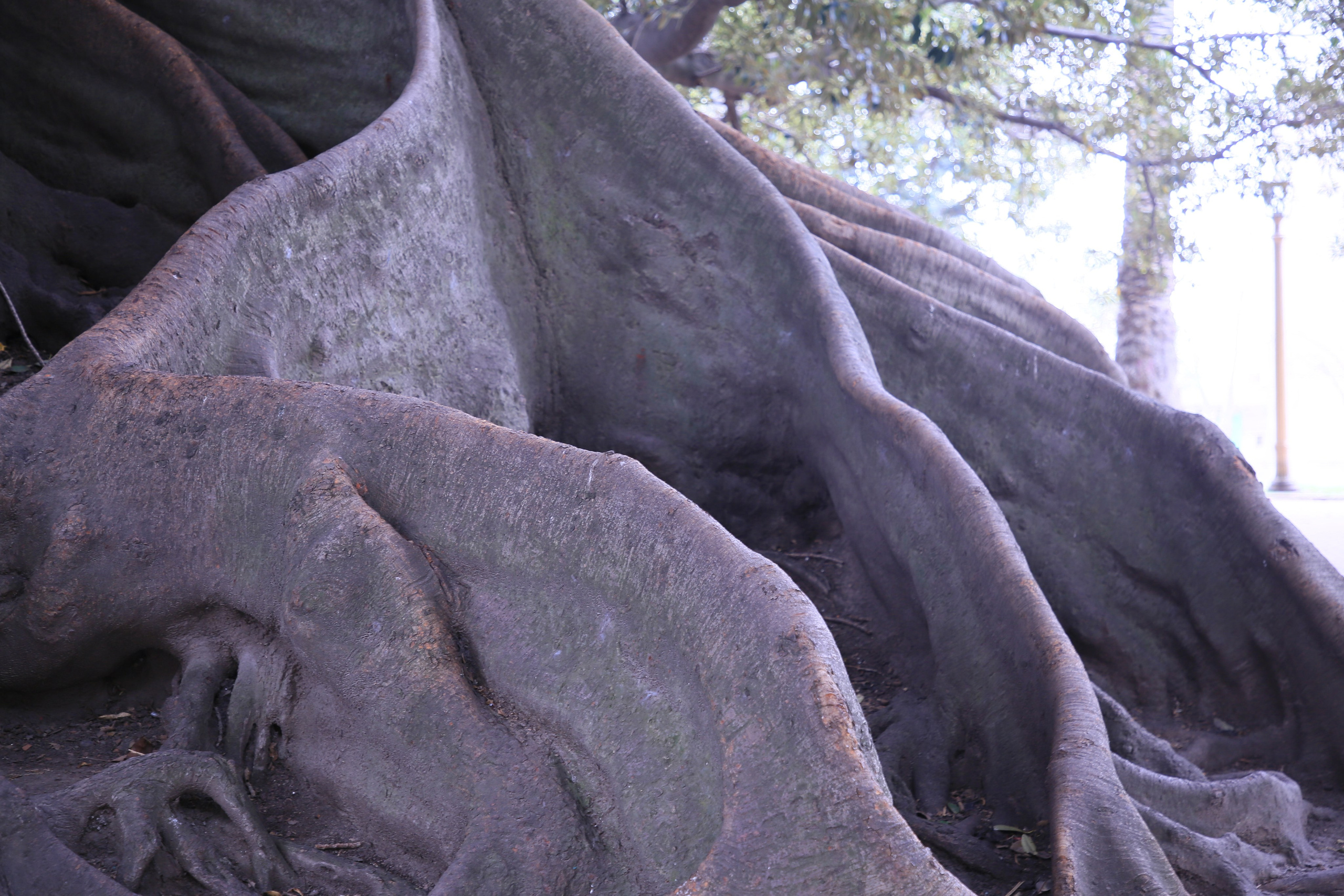 Buenos Aires, Argentina. Andrey Filippov Photographer
