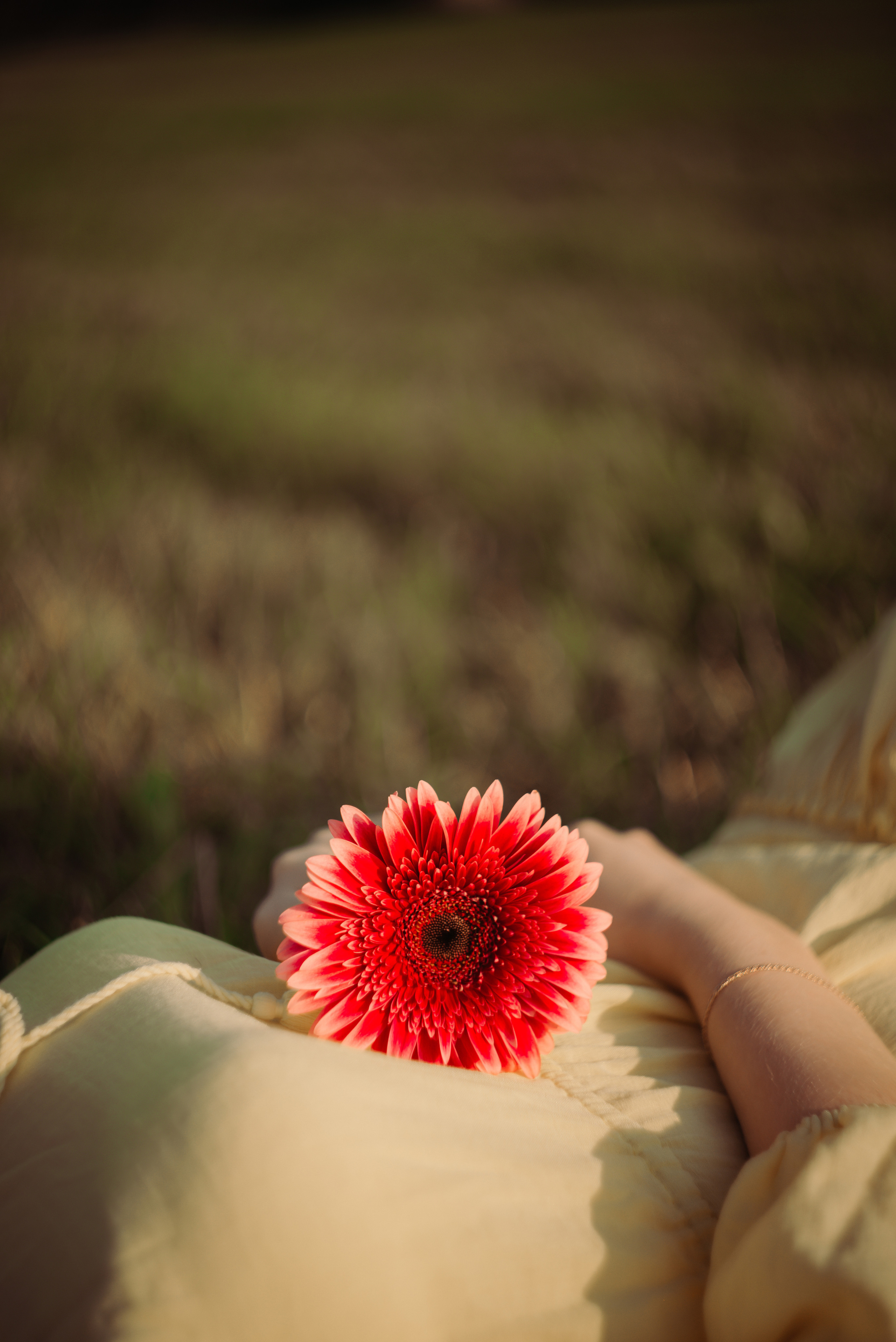 Violetta. Семейный и детский фотограф Иваново Ксения Азаренкова