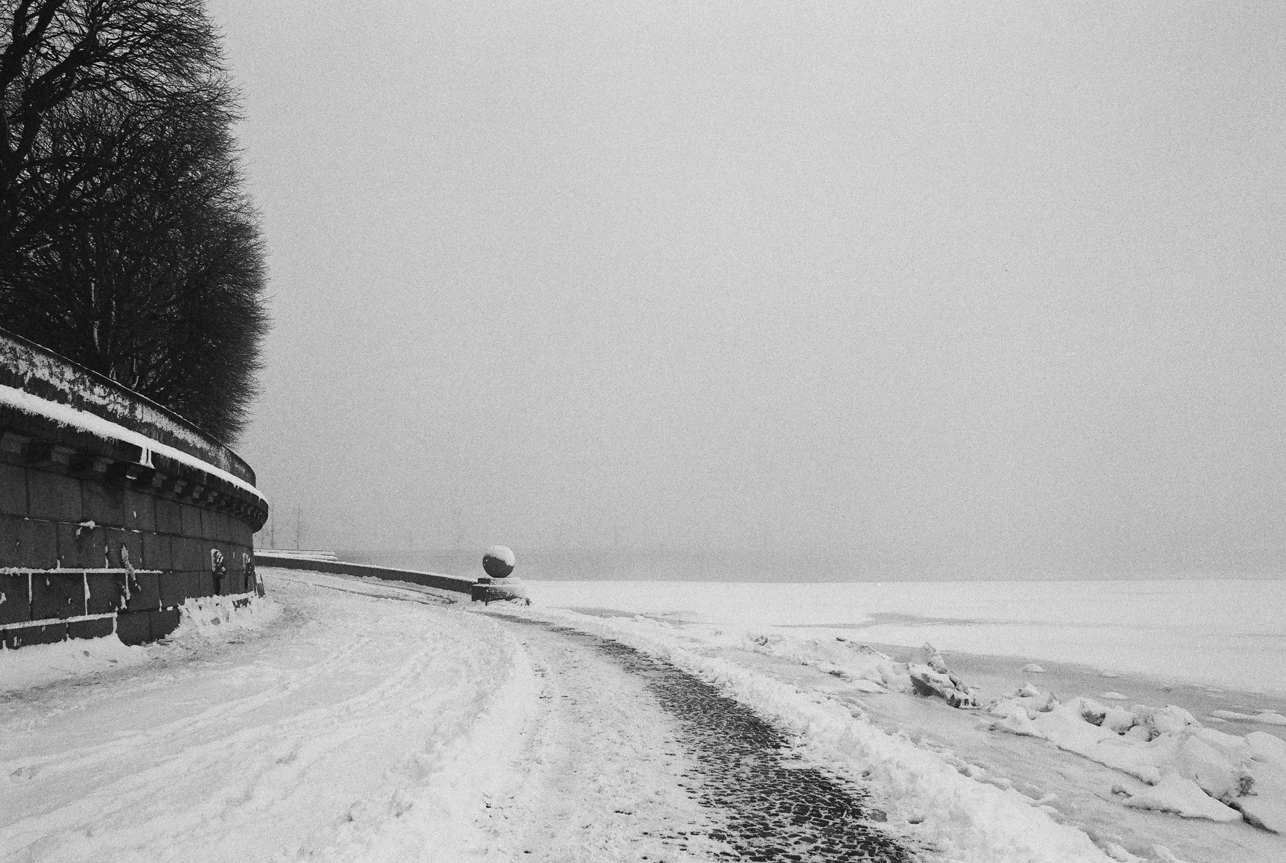 Фотографии черно-белые. Свадебный и семейный пленочный фотограф в Петербурге Истомина Ирина