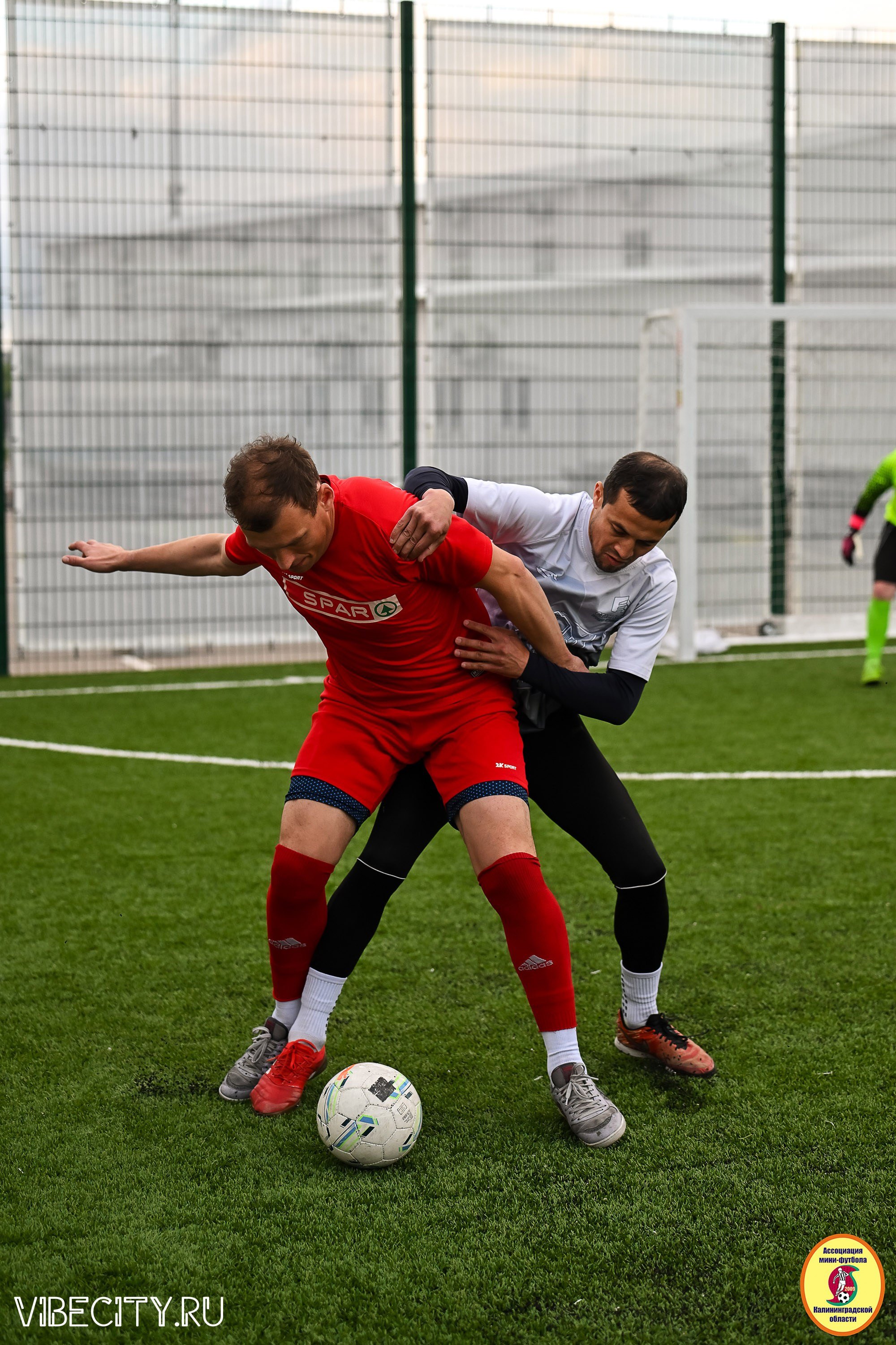 ИГРЫ МИНИ-ФУТБОЛЬНОЙ ЛИГИ. VIBECITY.RU Вайб Сити Ру Фоторепортажи Фотоотчеты Калининград