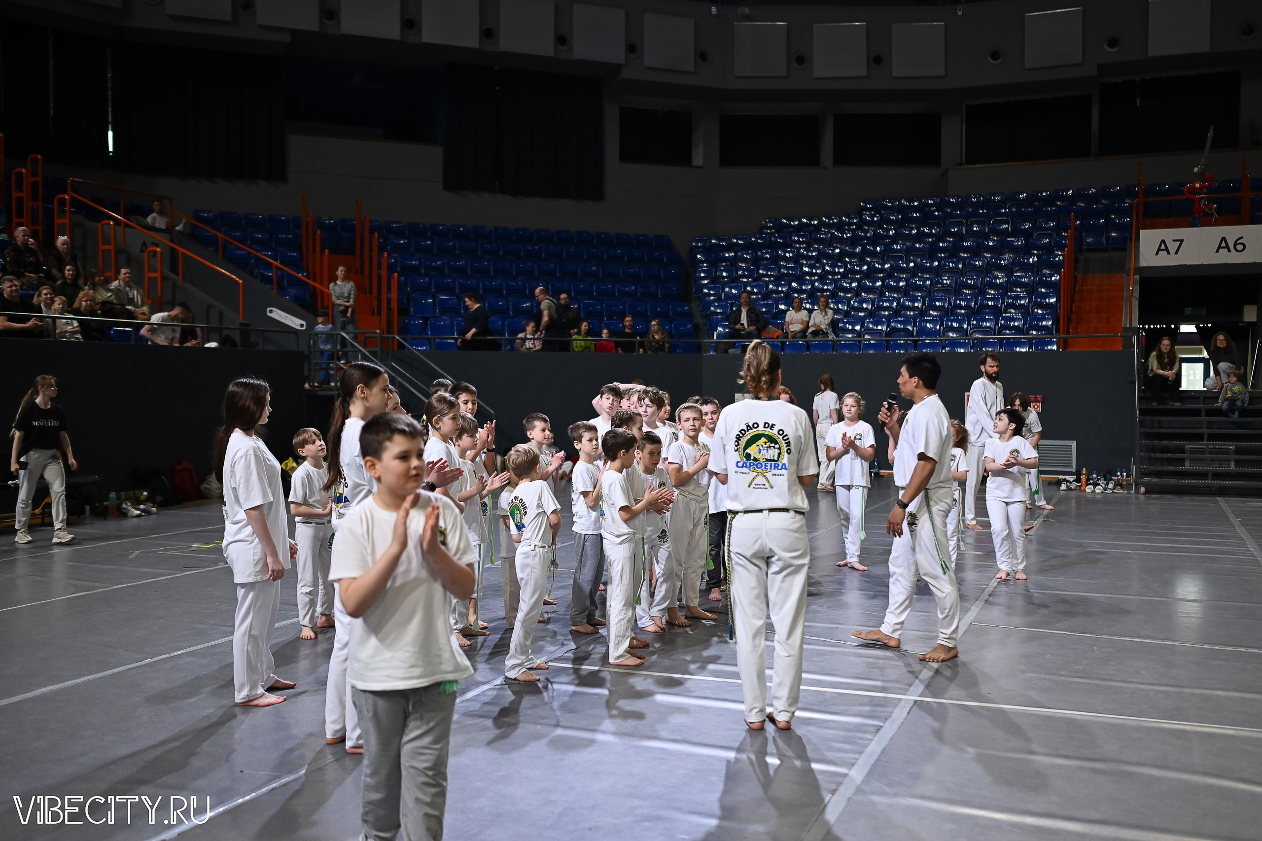 Капоэйра. Вручение поясов. VIBECITY.RU Вайб Сити Ру Фоторепортажи Фотоотчеты Калининград