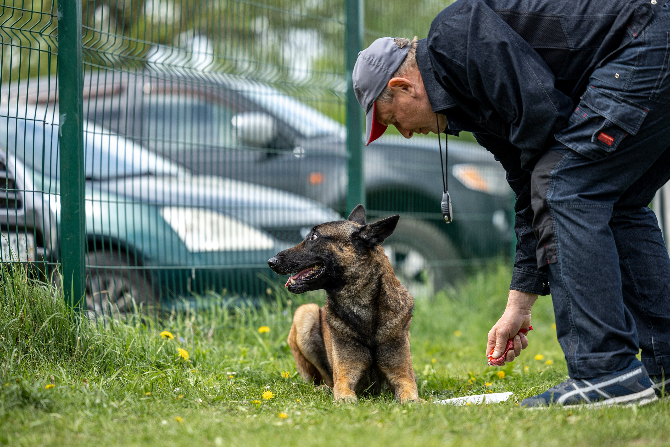 Испытания по мондьорингу в Нижнем Новгороде. Фотограф-анималист Анна Маринич