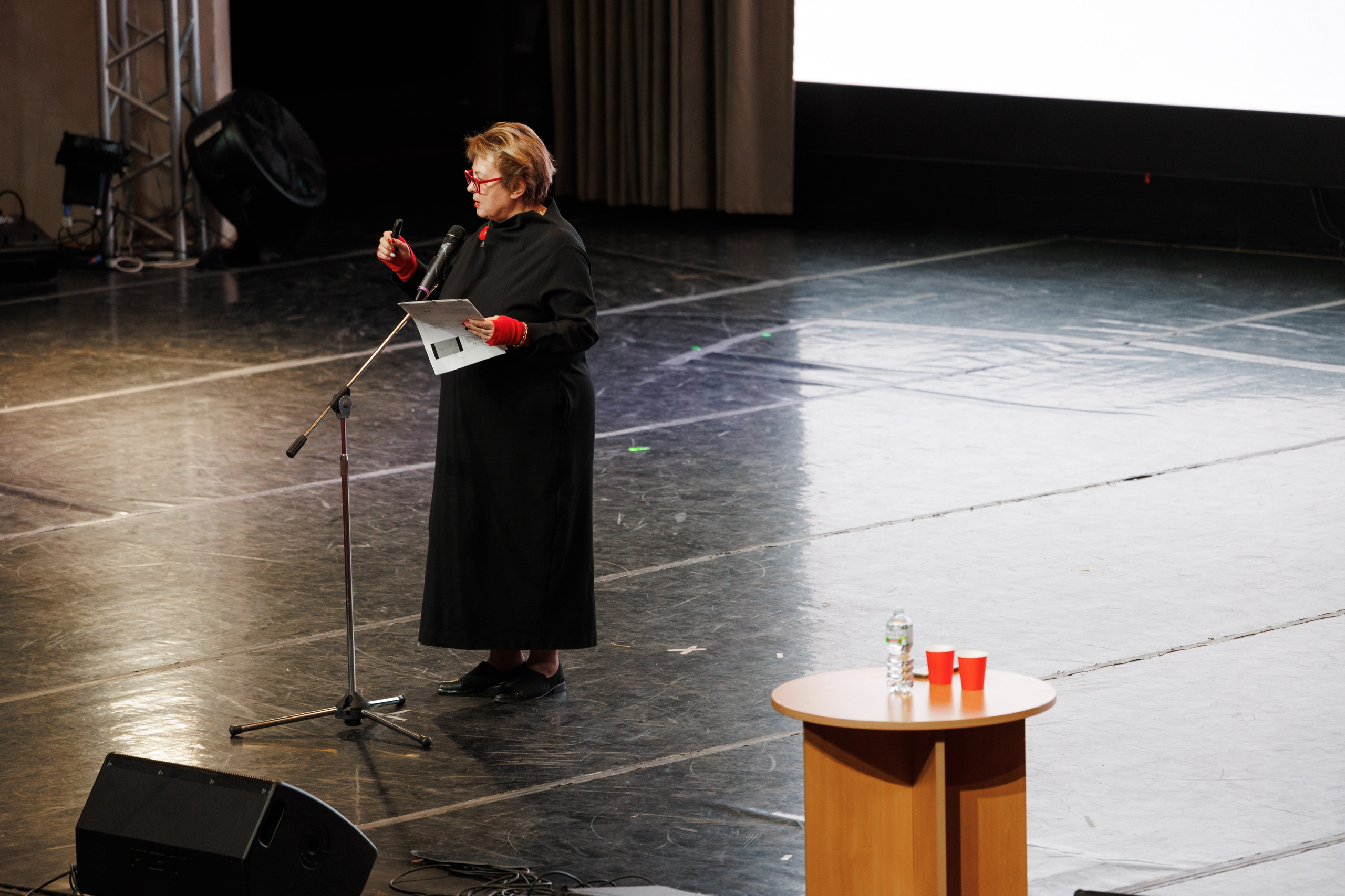 Всероссийский фестиваль «Виват, таланты!». Галерея ПрофАС