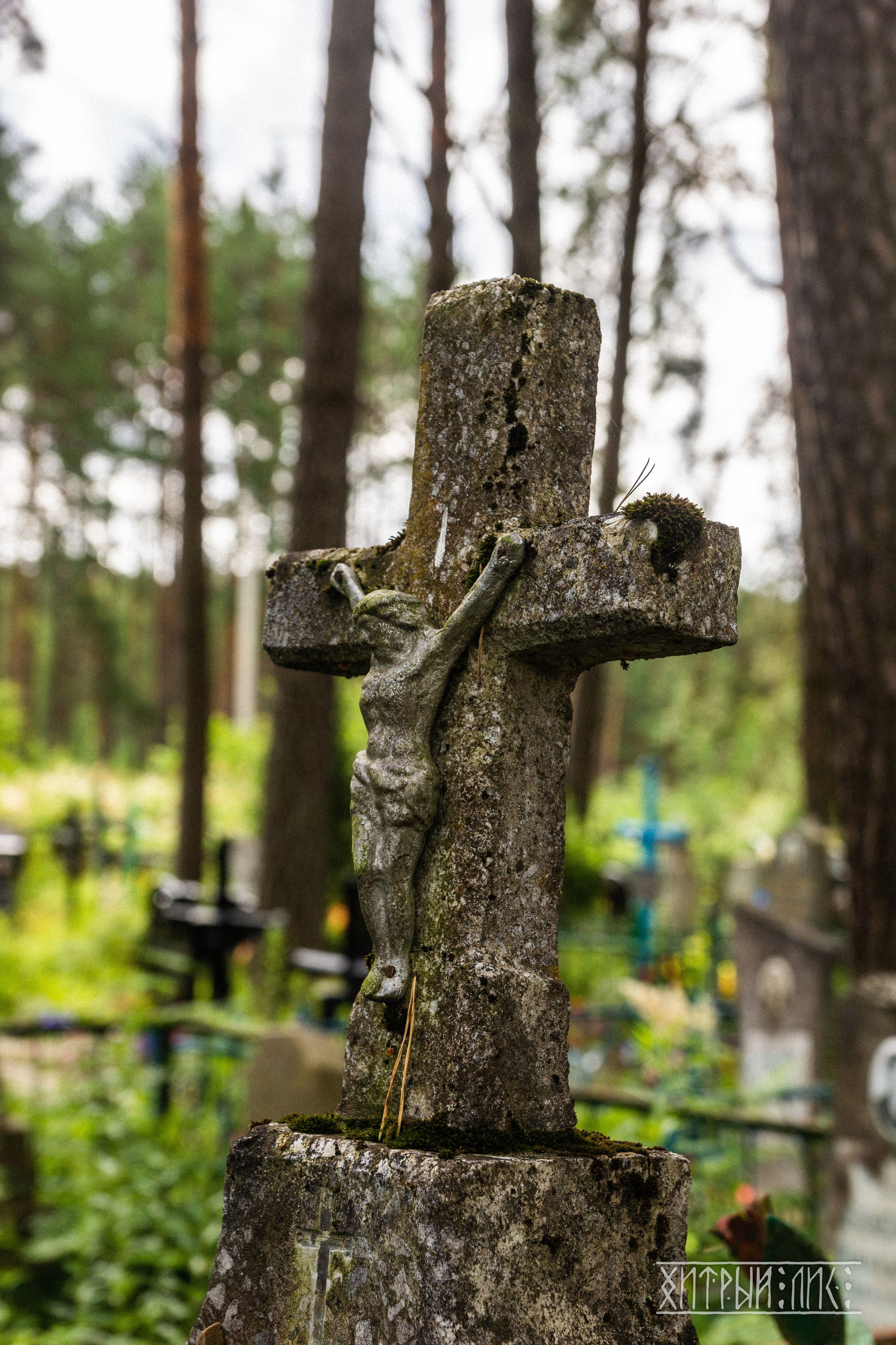 Беларусь. Фотограф-путешественник Самойлов Максим «Sly Fox»