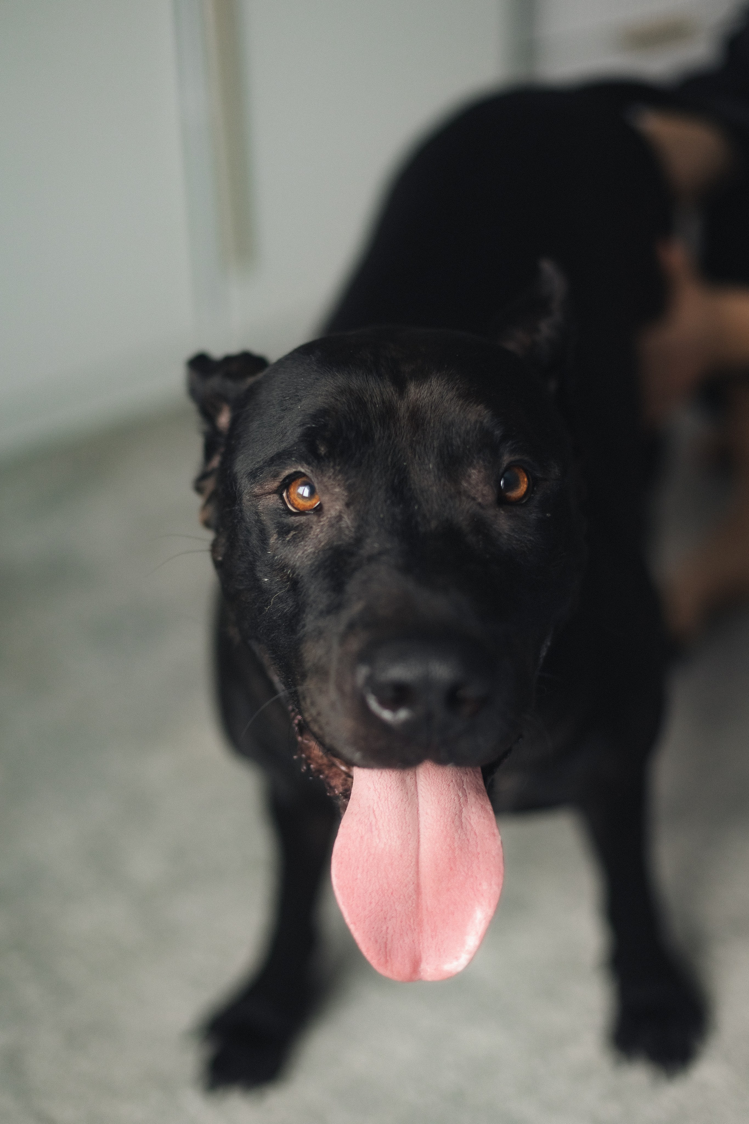 Дома. Фотограф из Петербурга