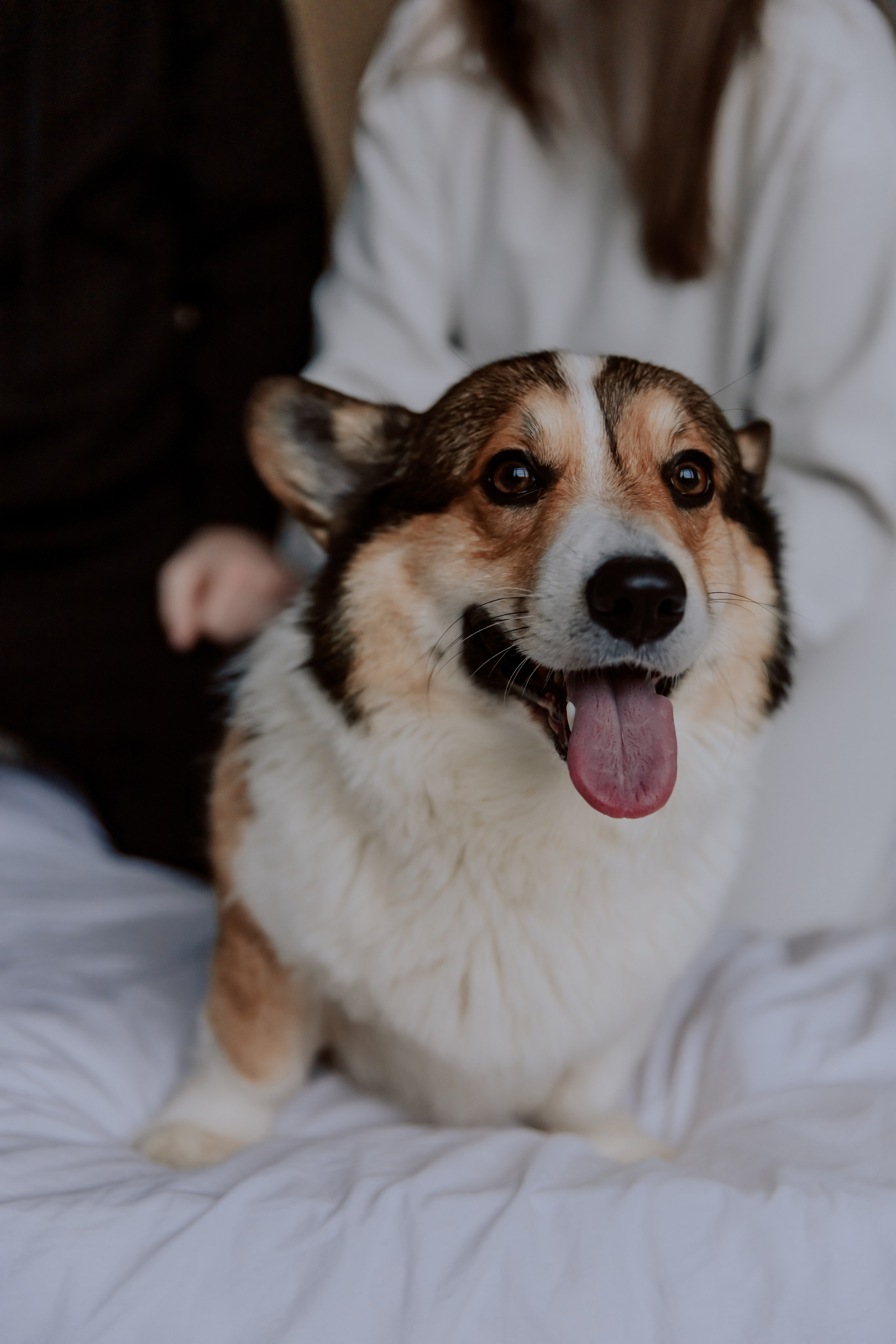 Саша, Илья и песик Кураж. Фотограф, который снимает любовь в Санкт-Петербурге и Череповце